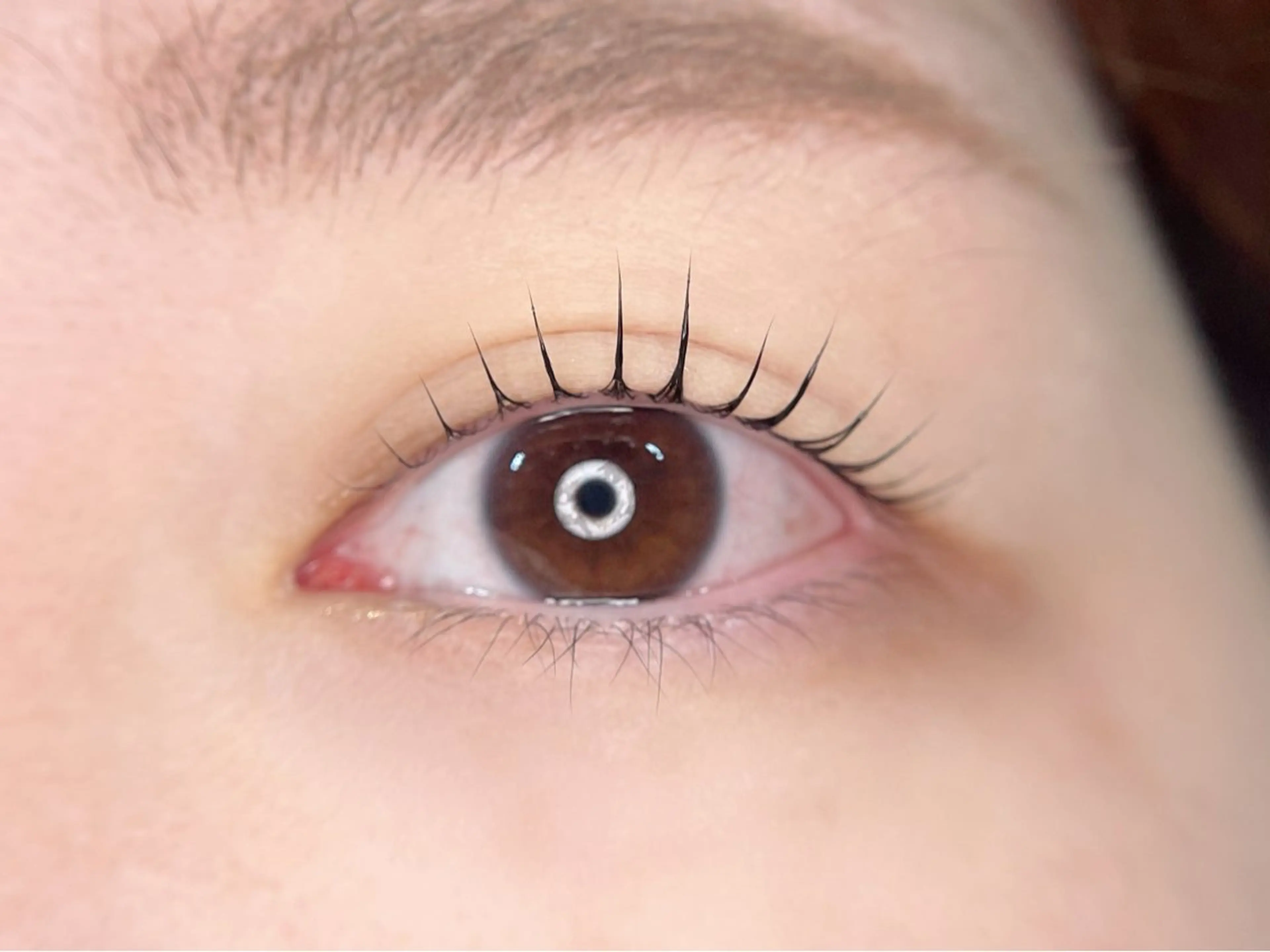 【期間限定】まつげパーマ(上のみ)​〜​コンテストの予選を通過し、本戦に向けた技術強化の為の募集です​〜​の写真