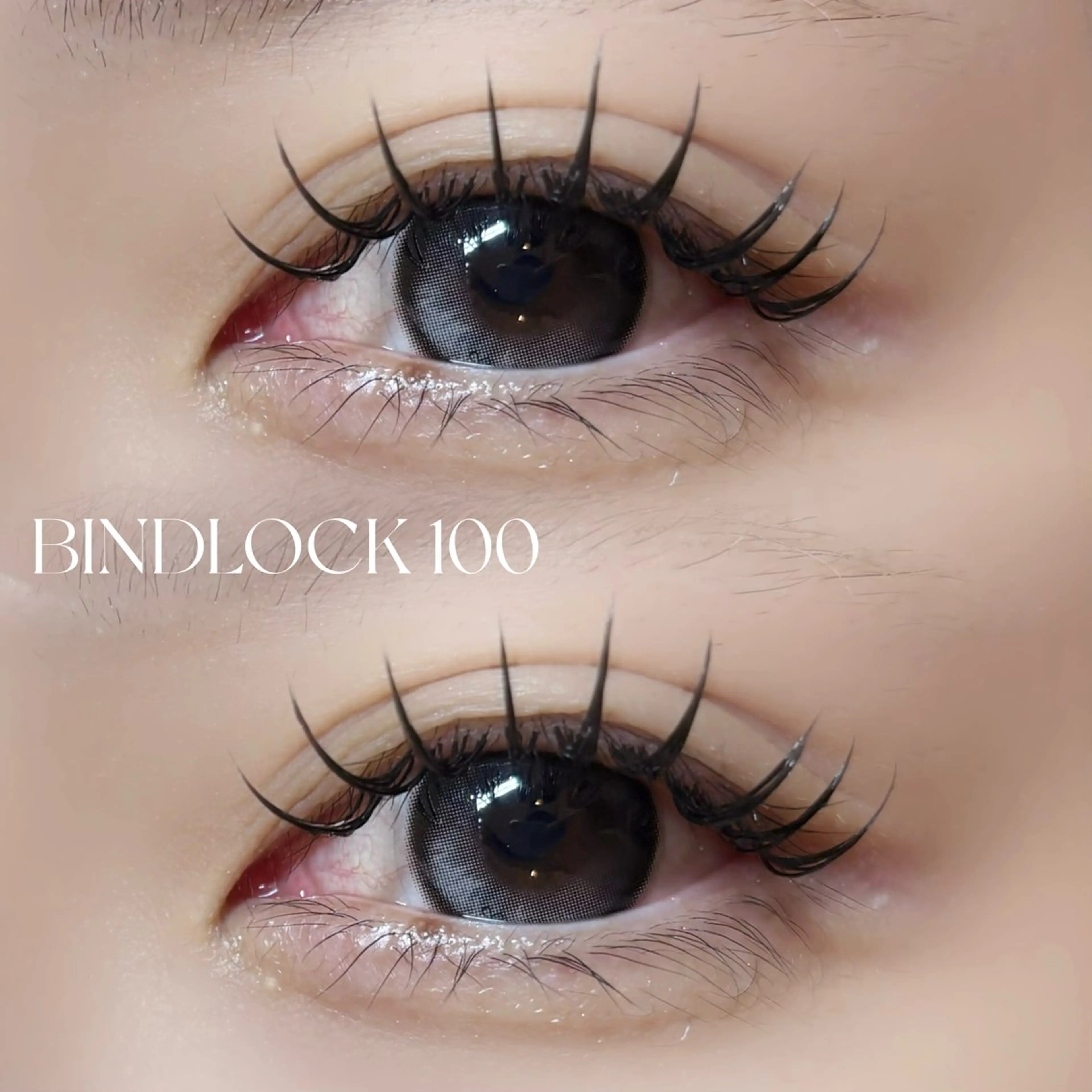 【持続力up⬆️ｺｰﾃｨﾝｸﾞ付】バインドロック70分付け放題ꕤ.·*(束感仕上がり🉑)の写真