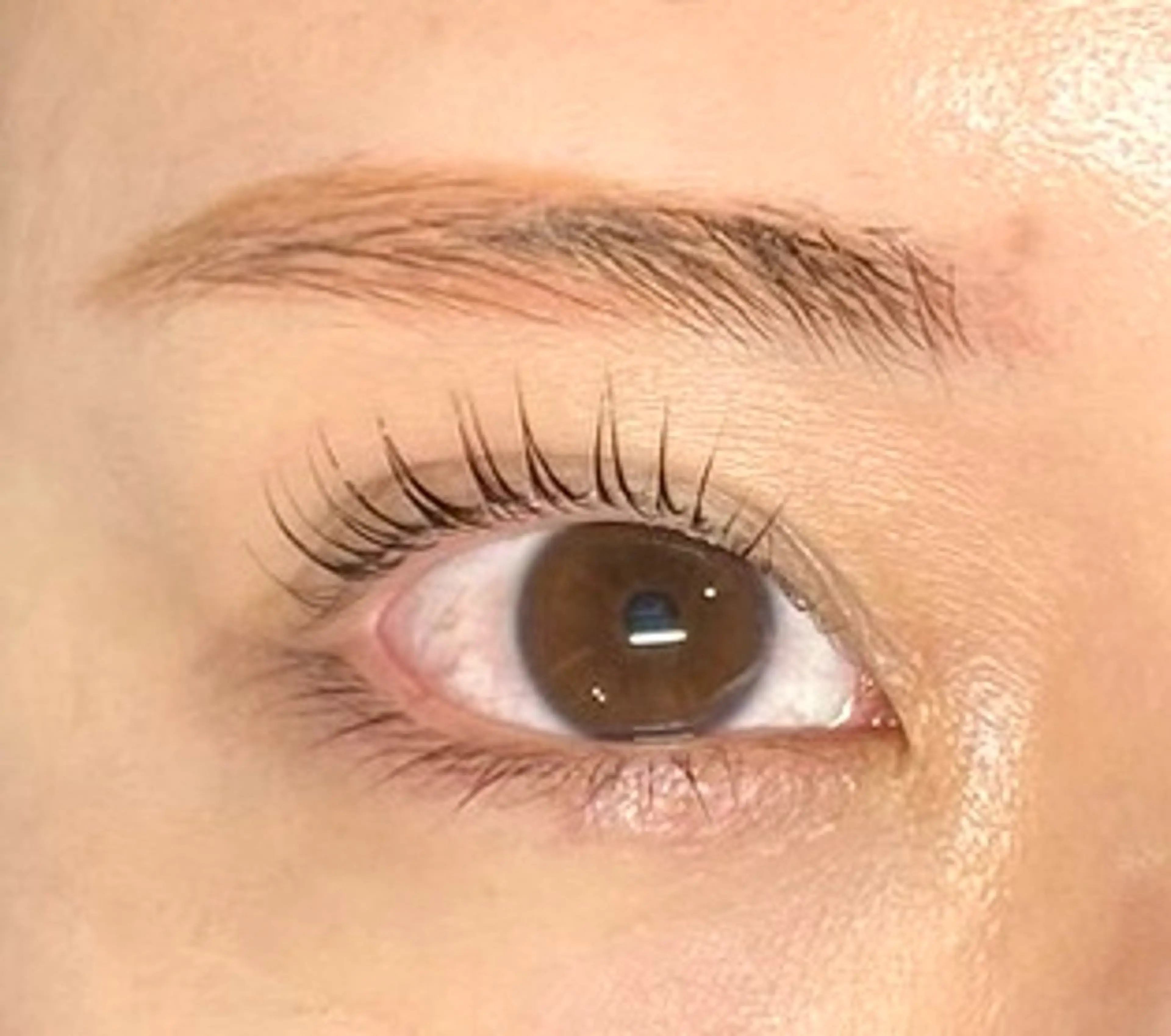 【ミニモ限定還元🉐】束感パリジェンヌラッシュリフト(パーマ)上のみ3300円♡立ち上げカール(ピーナッツロットあり)の写真