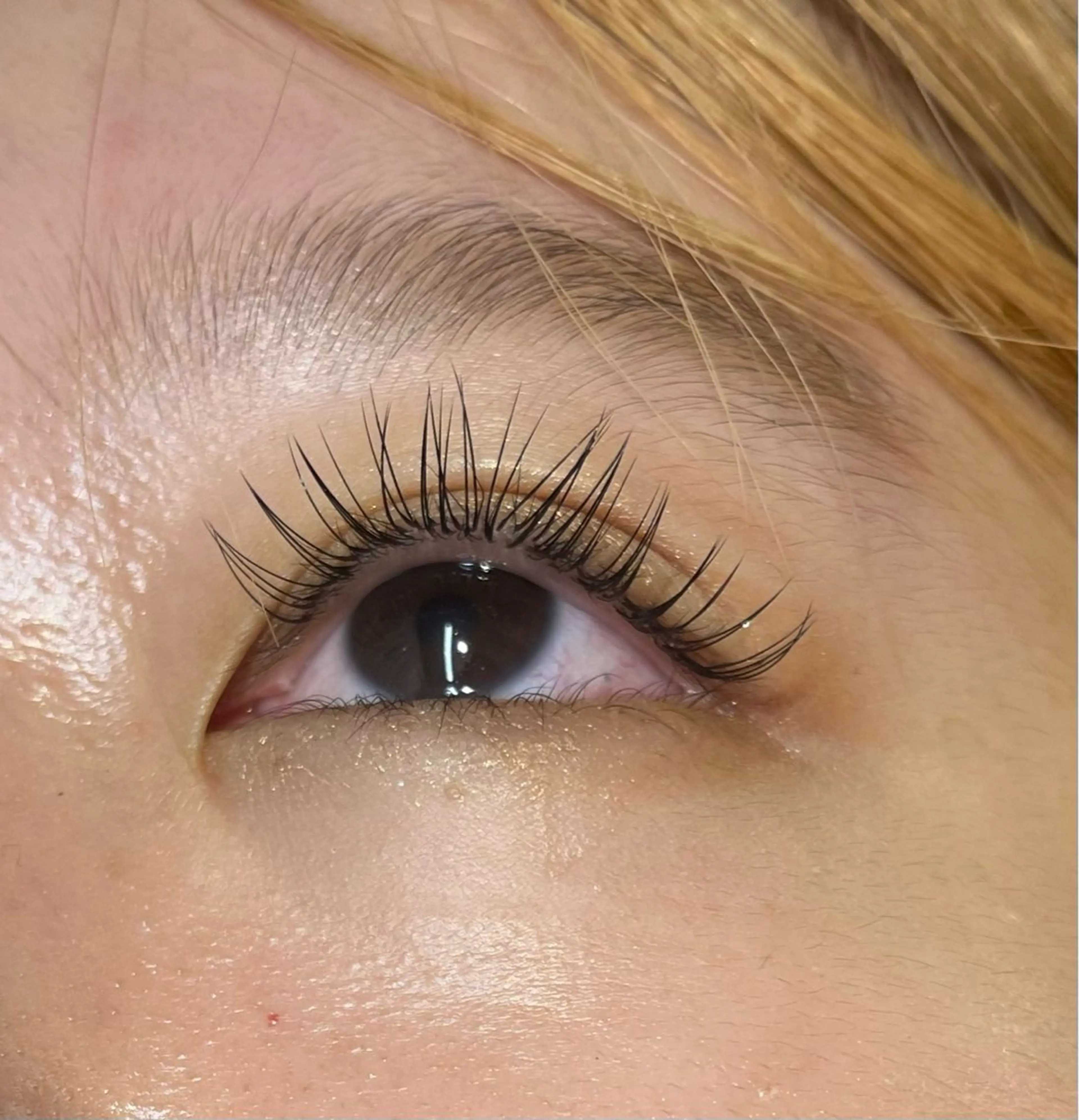 マツエク・マツパ シルク MAQUIA蒲田店 横山のマツエク・マツパデザイン