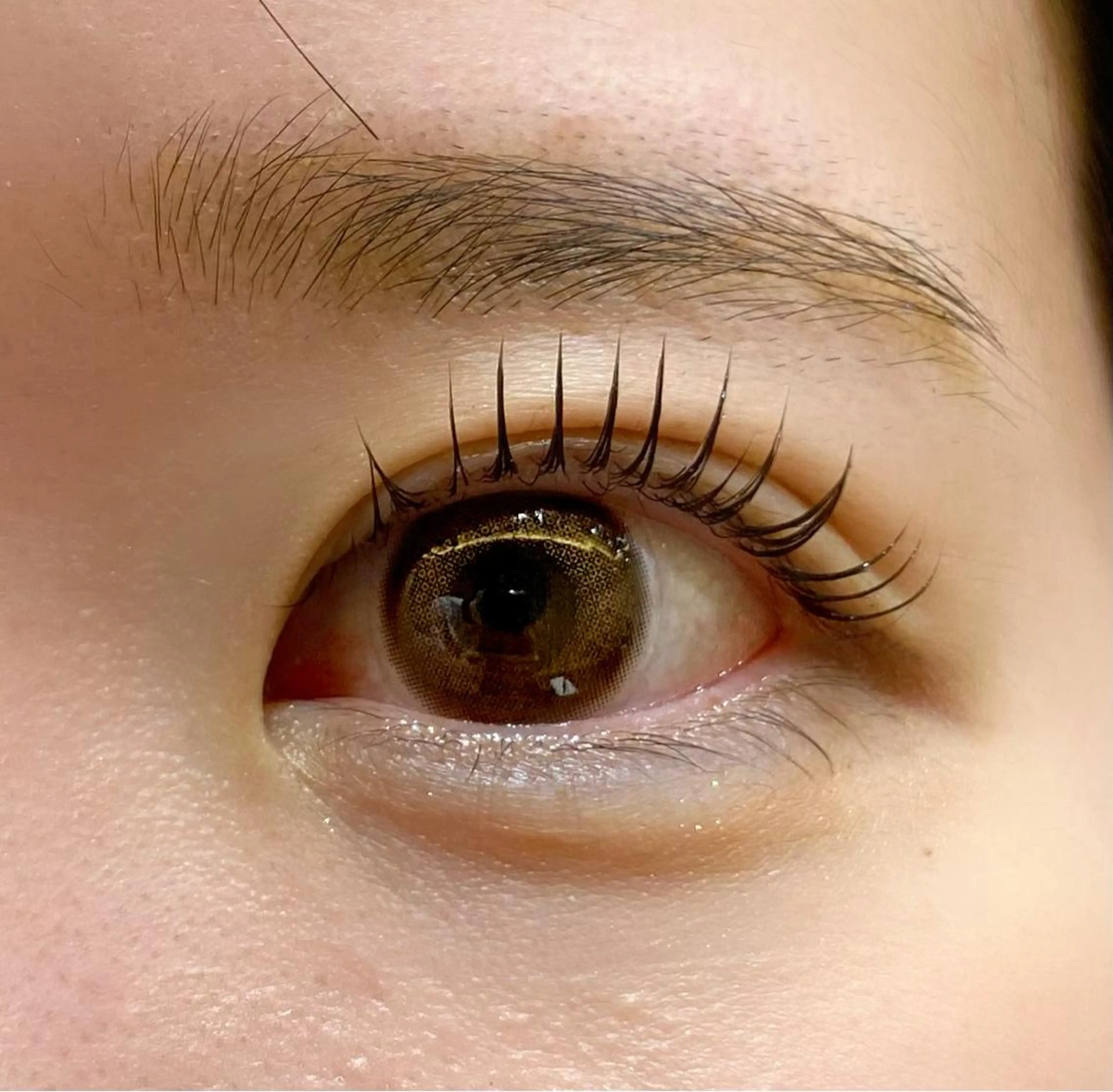 マツエク・マツパ マツパ たねむら みきのマツエク・マツパデザイン