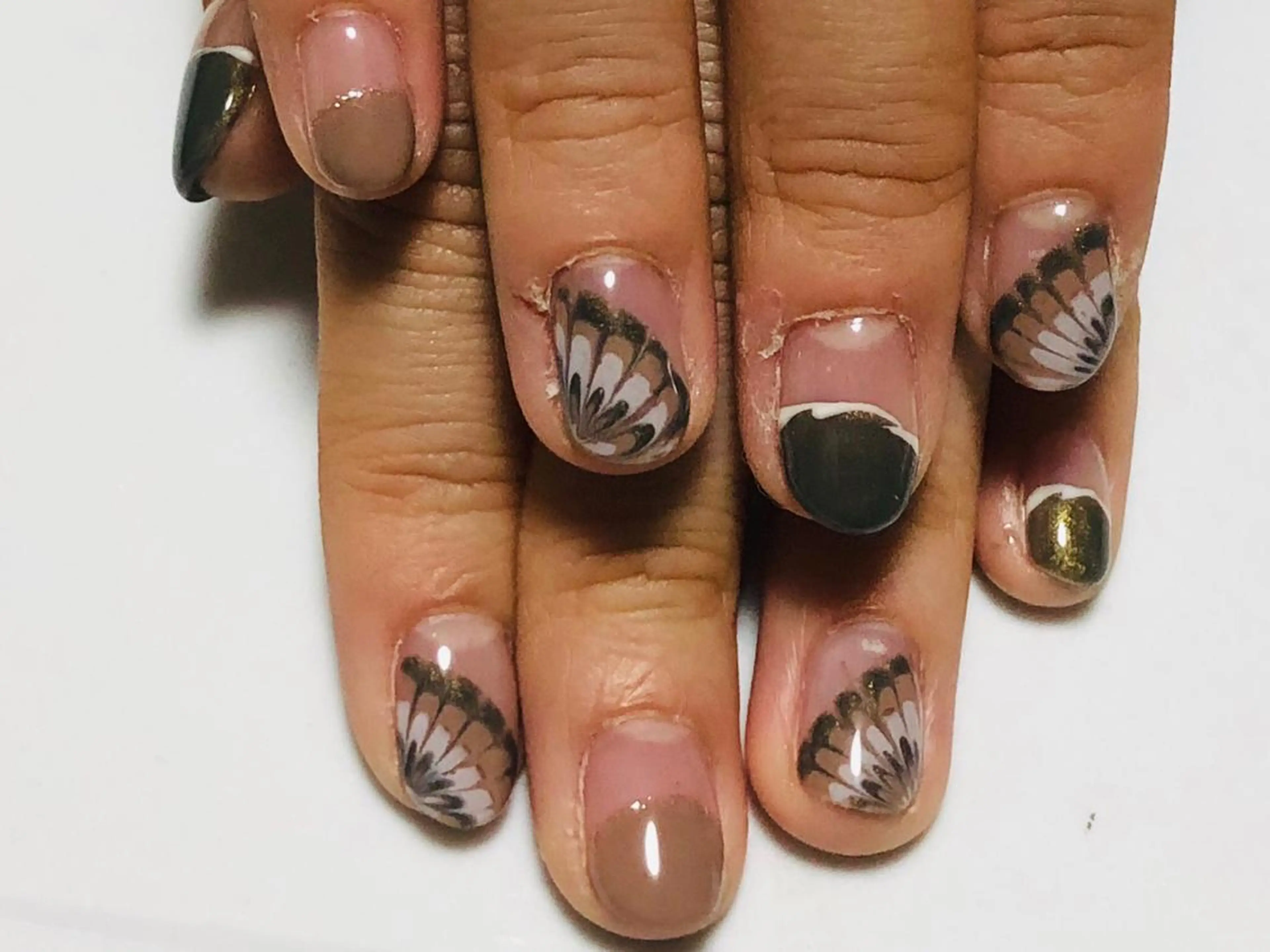 ネイル フレンチネイル ピーコックネイル 札幌ネイルgorella所属・gorella Ａのネイルデザイン