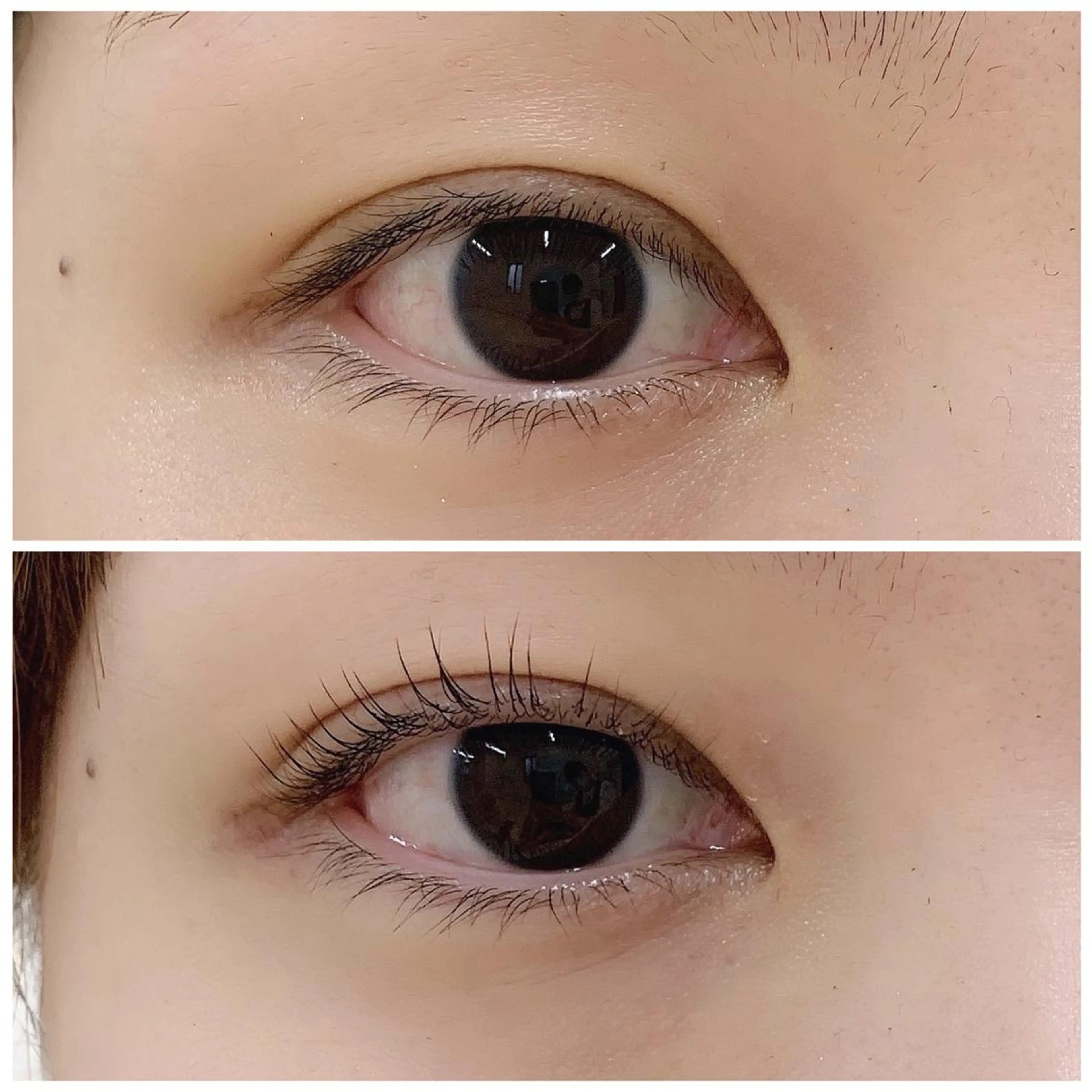 マツエク・マツパ eye salon ECLAN所属・すぎや みしおのマツエク・マツパデザイン