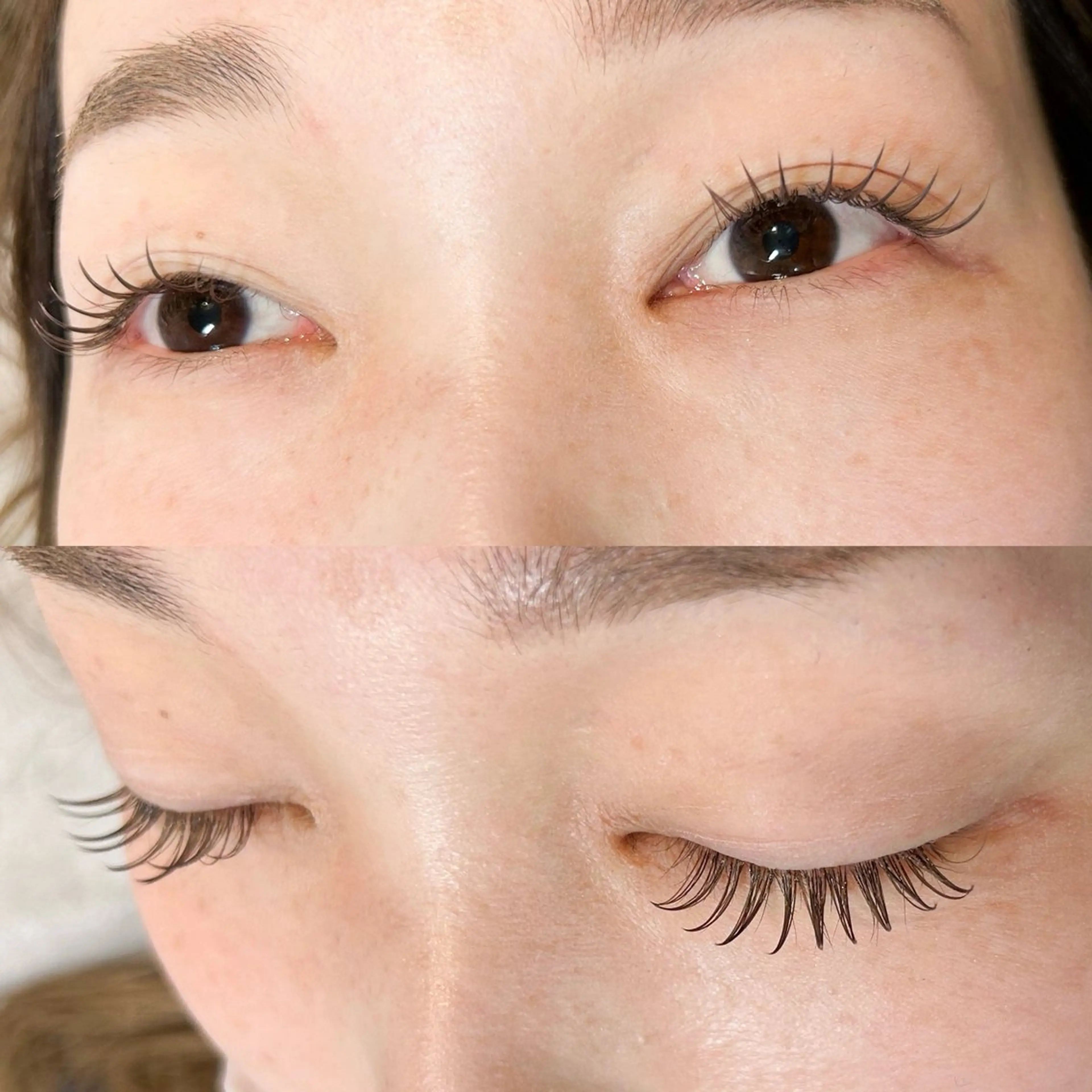 限定価格❁¨̮🧡カラーフラットラッシュ60分コース🧡100~120本目安🌸の写真