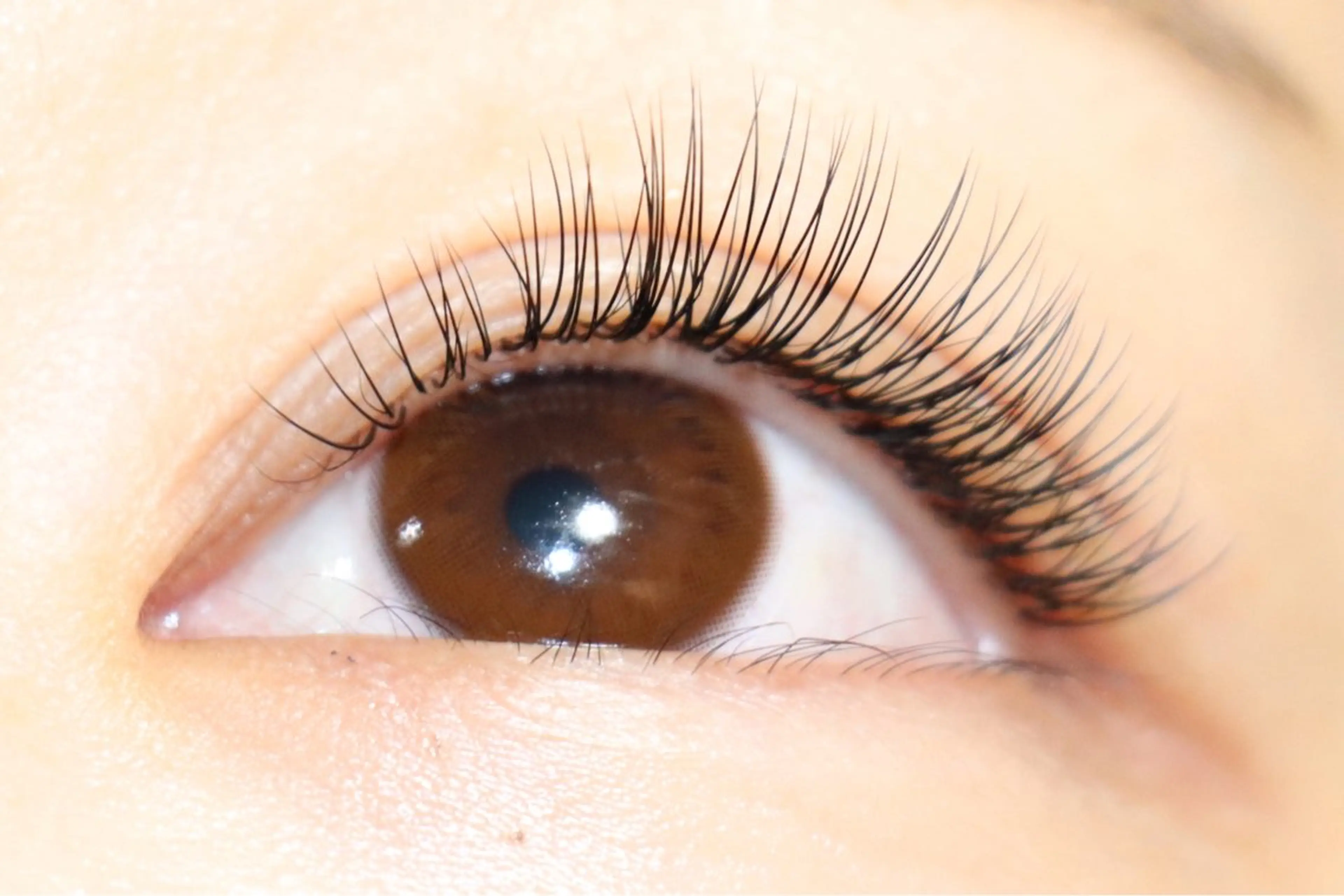 ⭐️期間限定⭐️フラットラッシュ　《ナチュラル》　100本までの写真