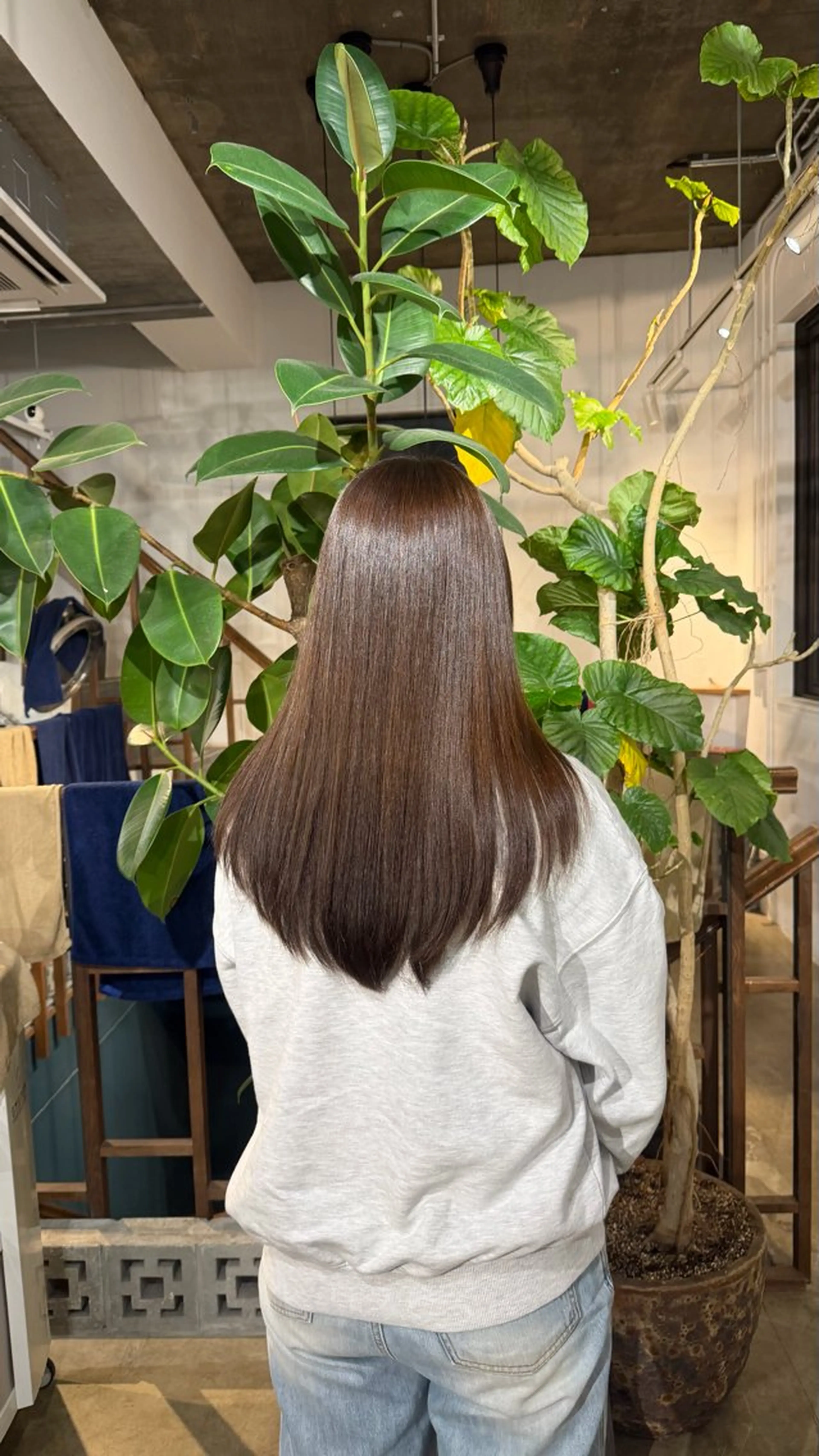 カラー ヘアカラー トリートメント くま🌷透明感 🫧ナチュラルカラーのヘアスタイル