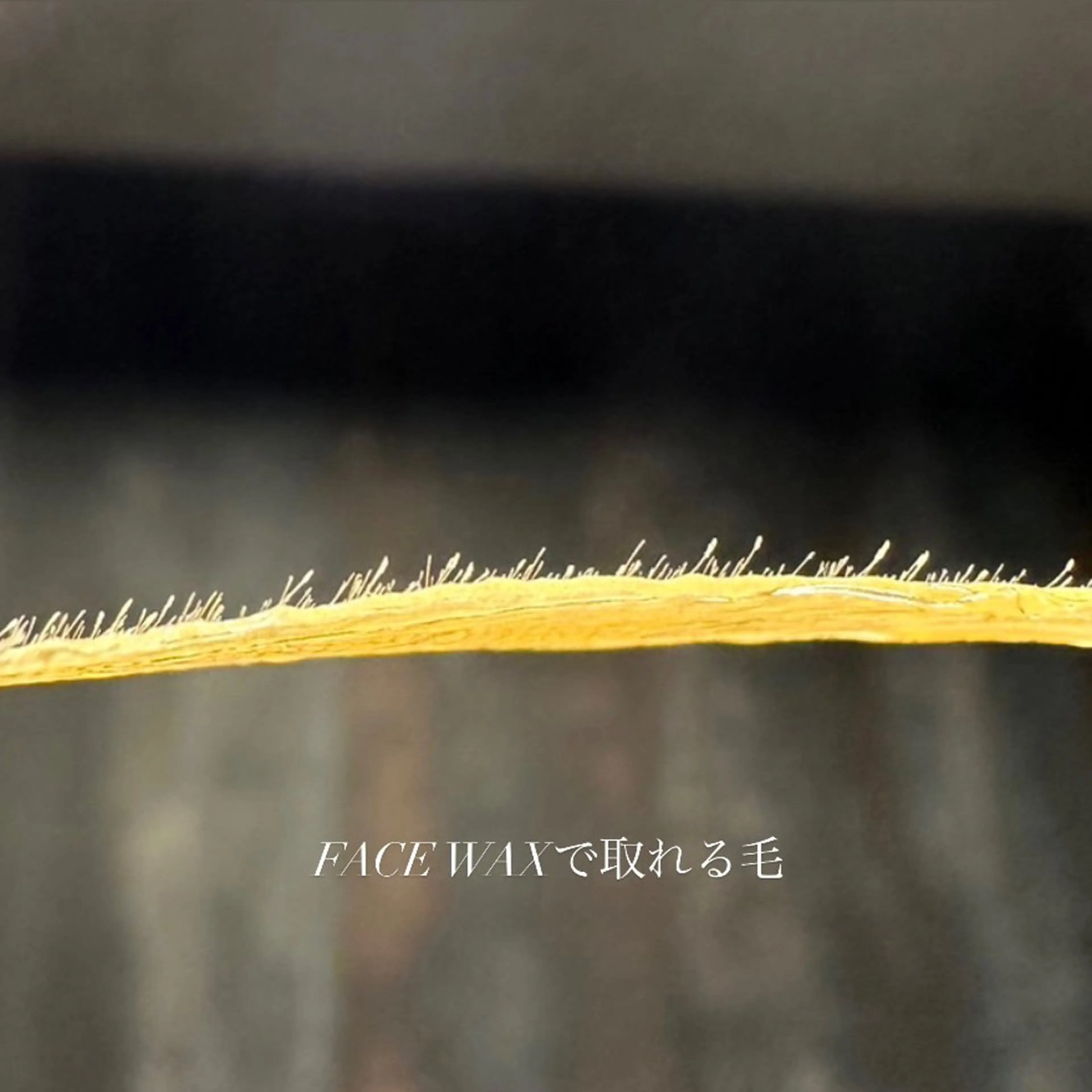 SALON MODS所属・HIKARU SALON MODSのエステ・リラクイメージ