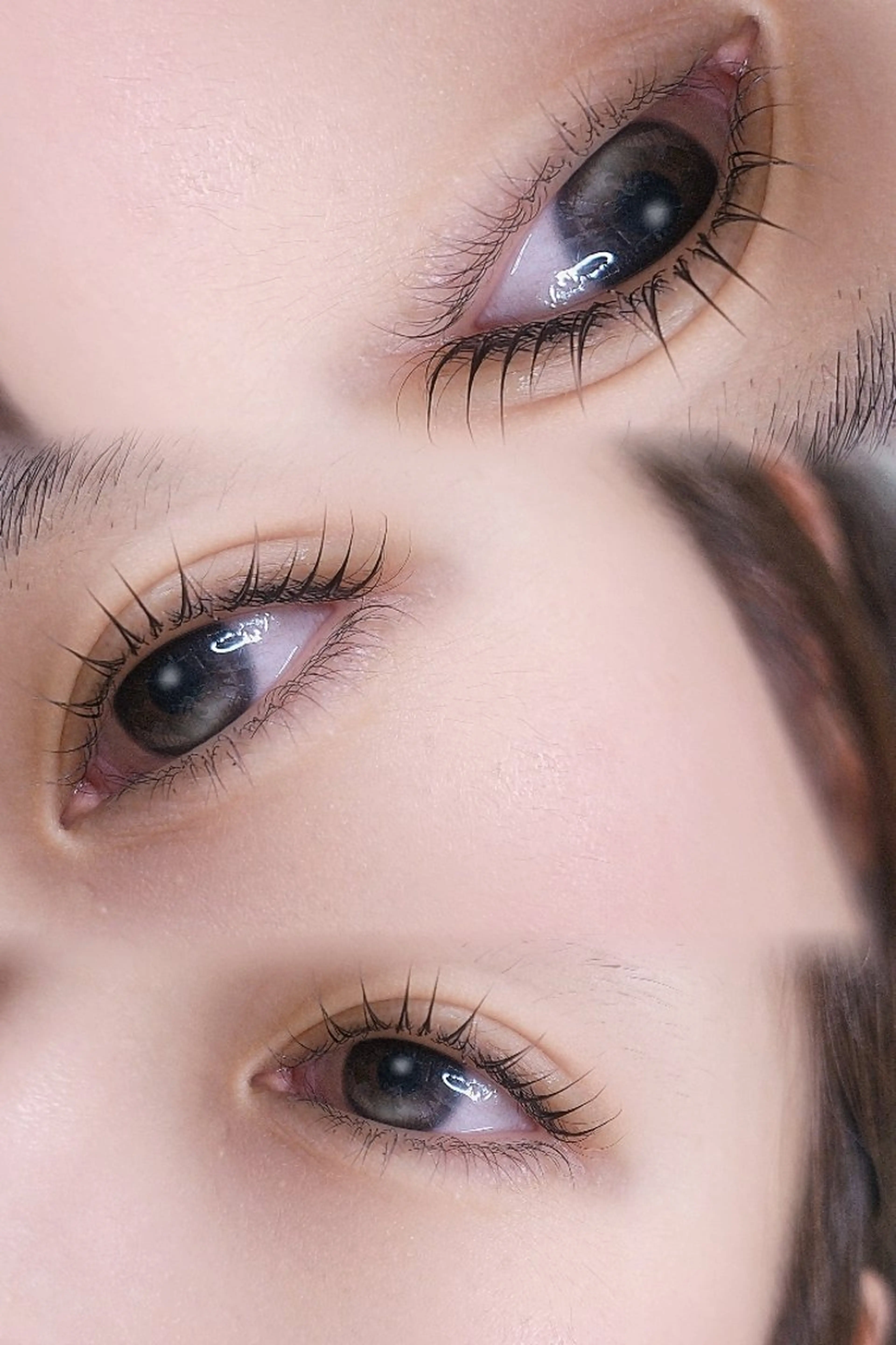 【2ヵ月以内の方🎀】パリジェンヌorデザインラッシュリフト💖アイシンプー&高濃度TR🫧コーティング仕上げの写真