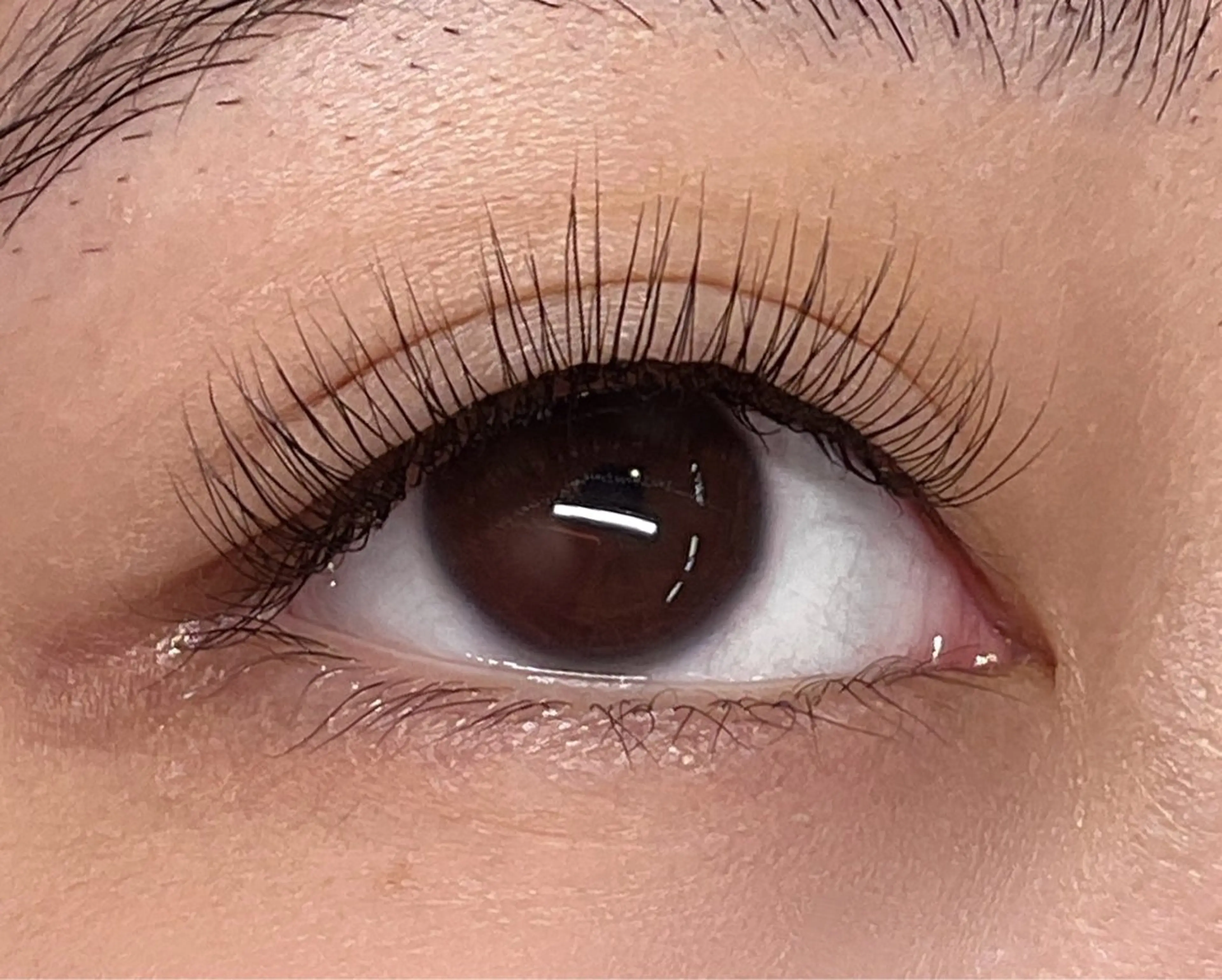 ボリュームラッシュ　3D  400本　✨👀✨の写真