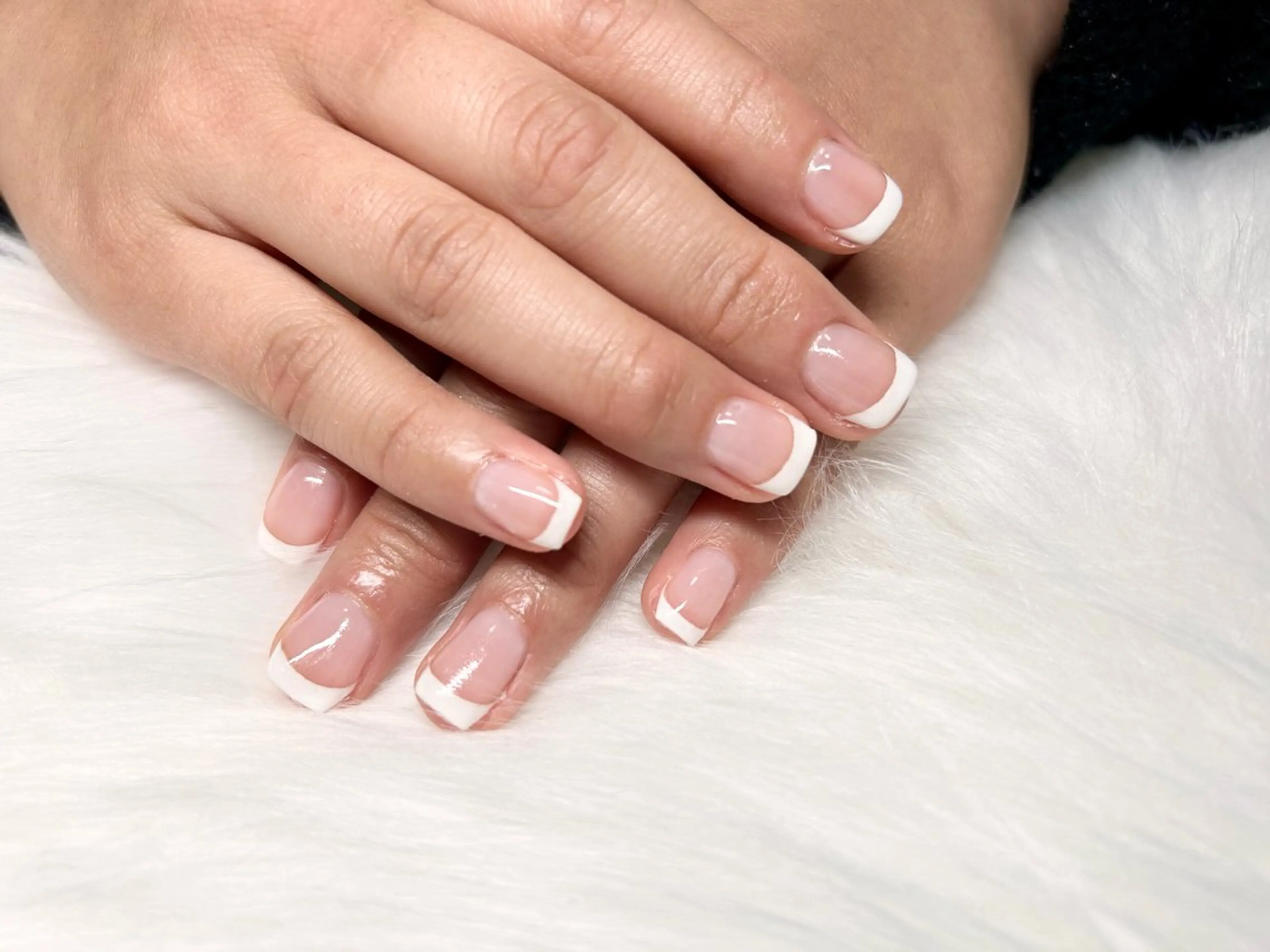 フレンチの写真