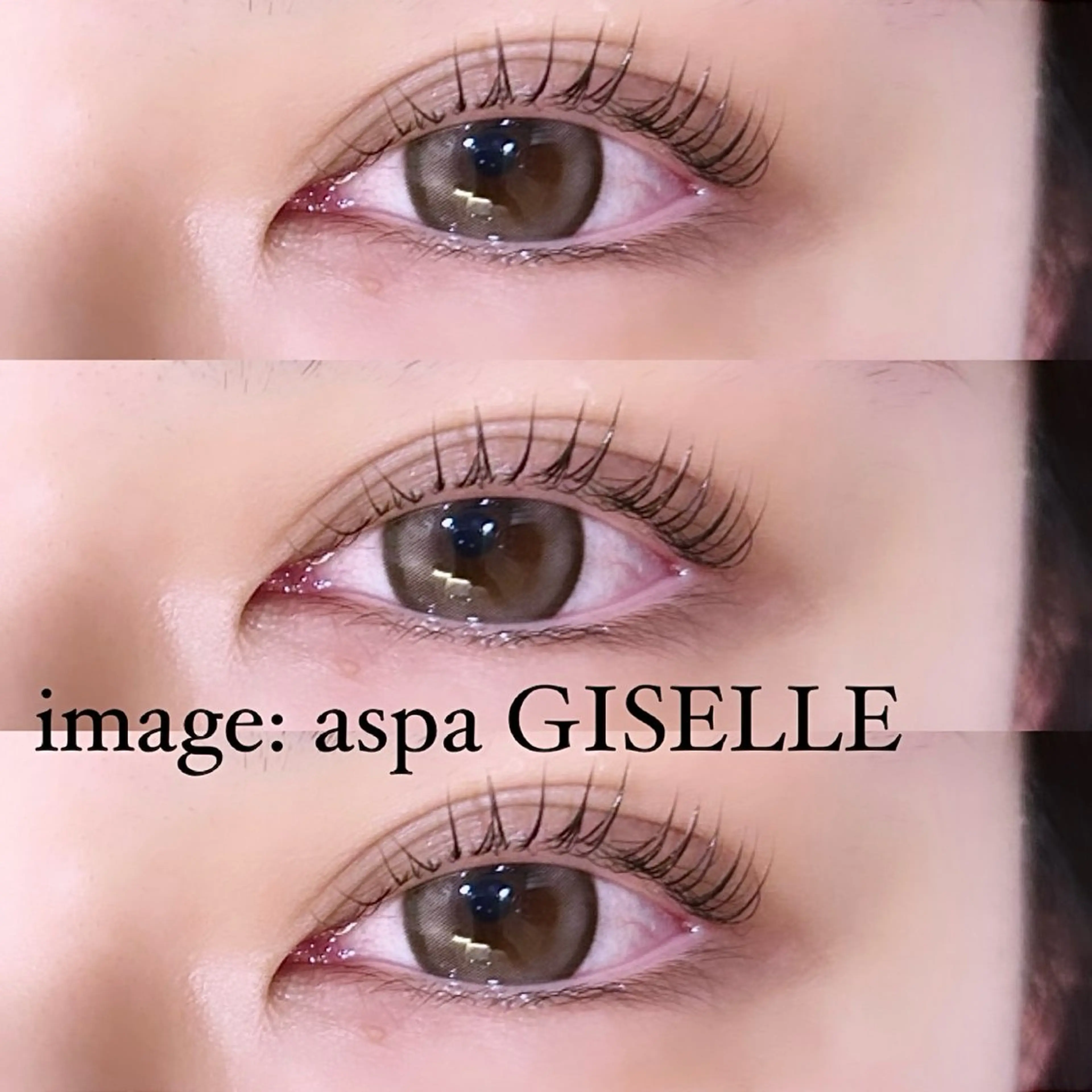 【リピート💫】韓国アイドル🇰🇷⛓️まつぱ👁️束間コーティング仕上げ付き🎧の写真