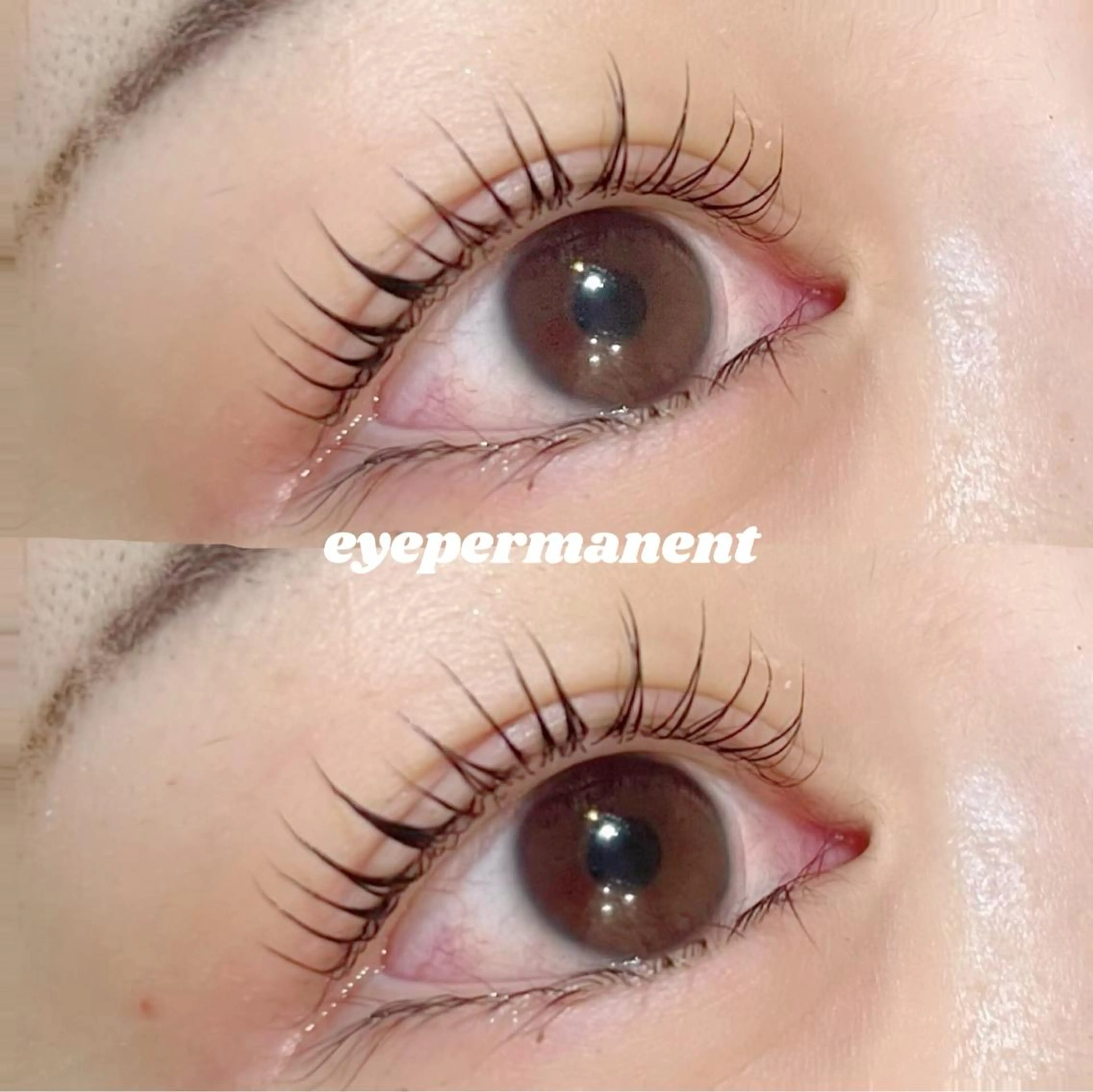 マツエク・マツパ マツパ mona 🎀韓国まつパ/眉毛のマツエク・マツパデザイン