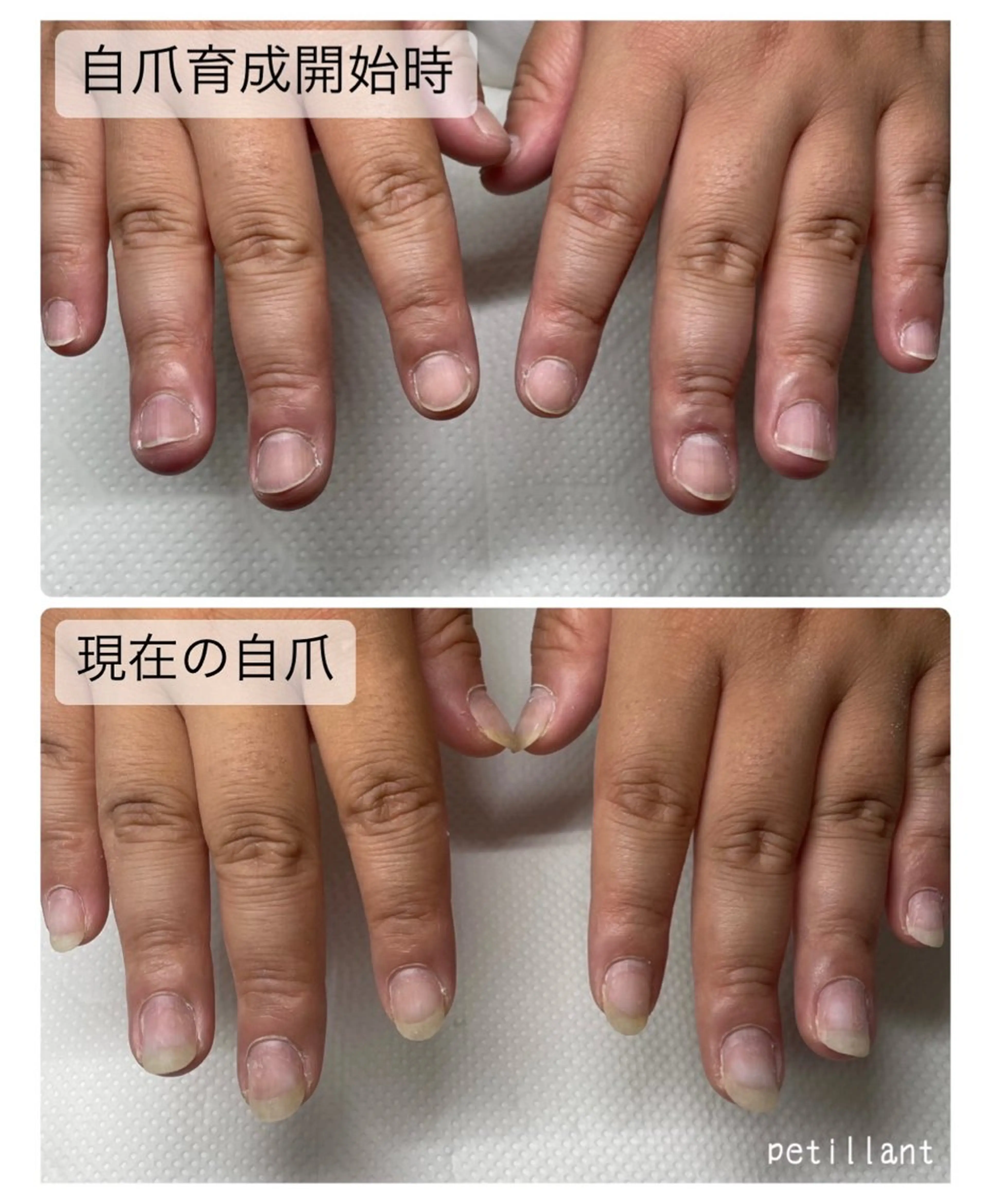 ネイル ラメ(グリッター) ラメグラデーション petillant所属・nail salon petillantのネイルデザイン