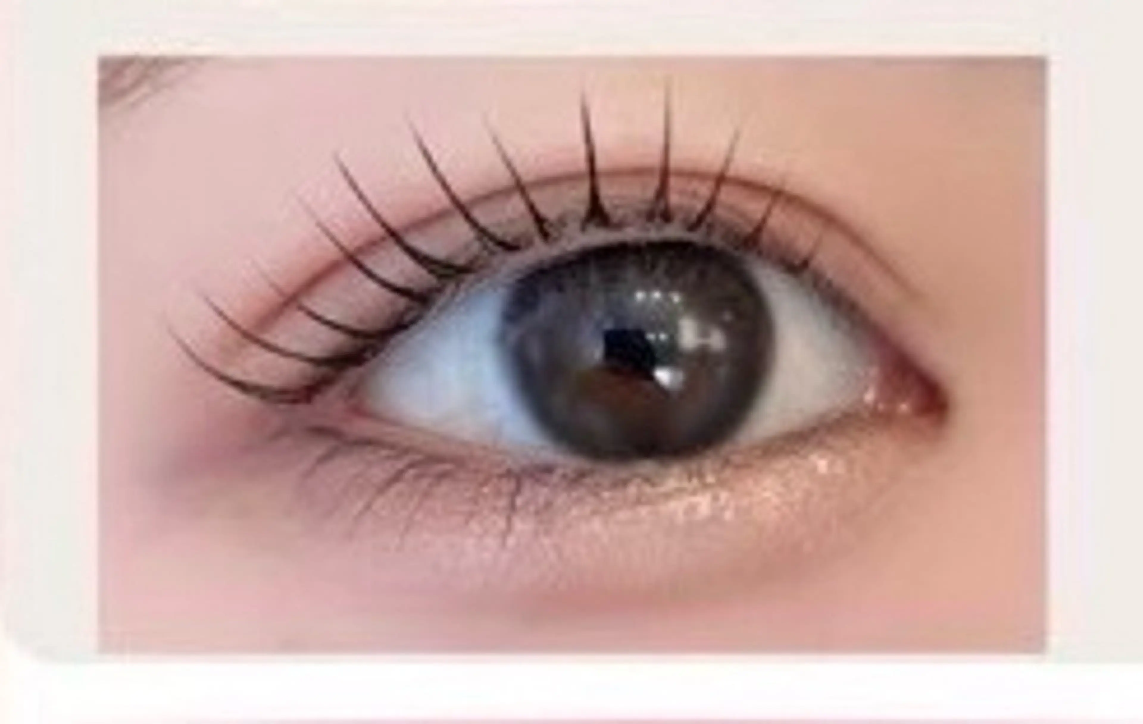 マツエク・マツパ roseosnow 🫧YUIKAのマツエク・マツパデザイン