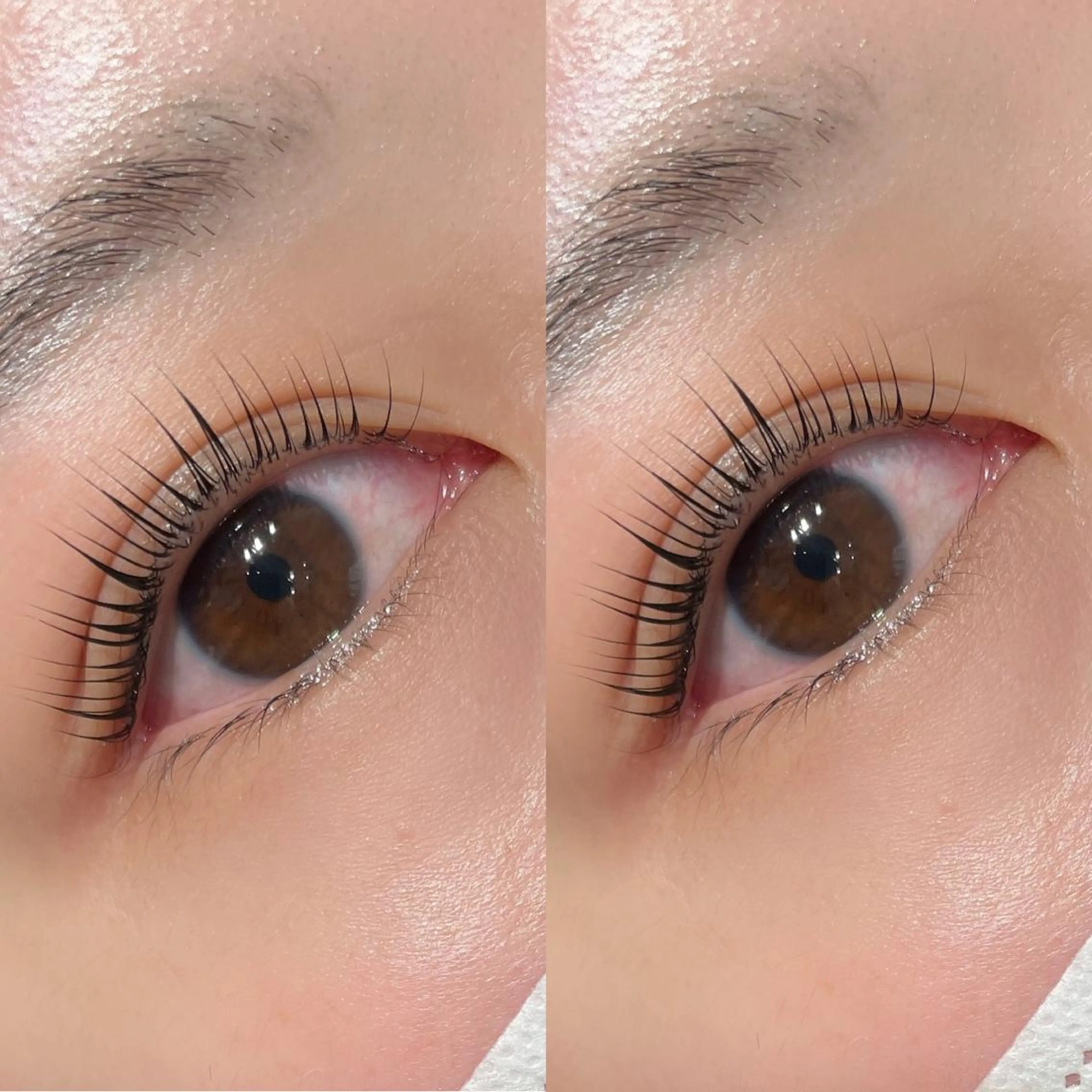 マツエク・マツパ Angelica Michelleのマツエク・マツパデザイン