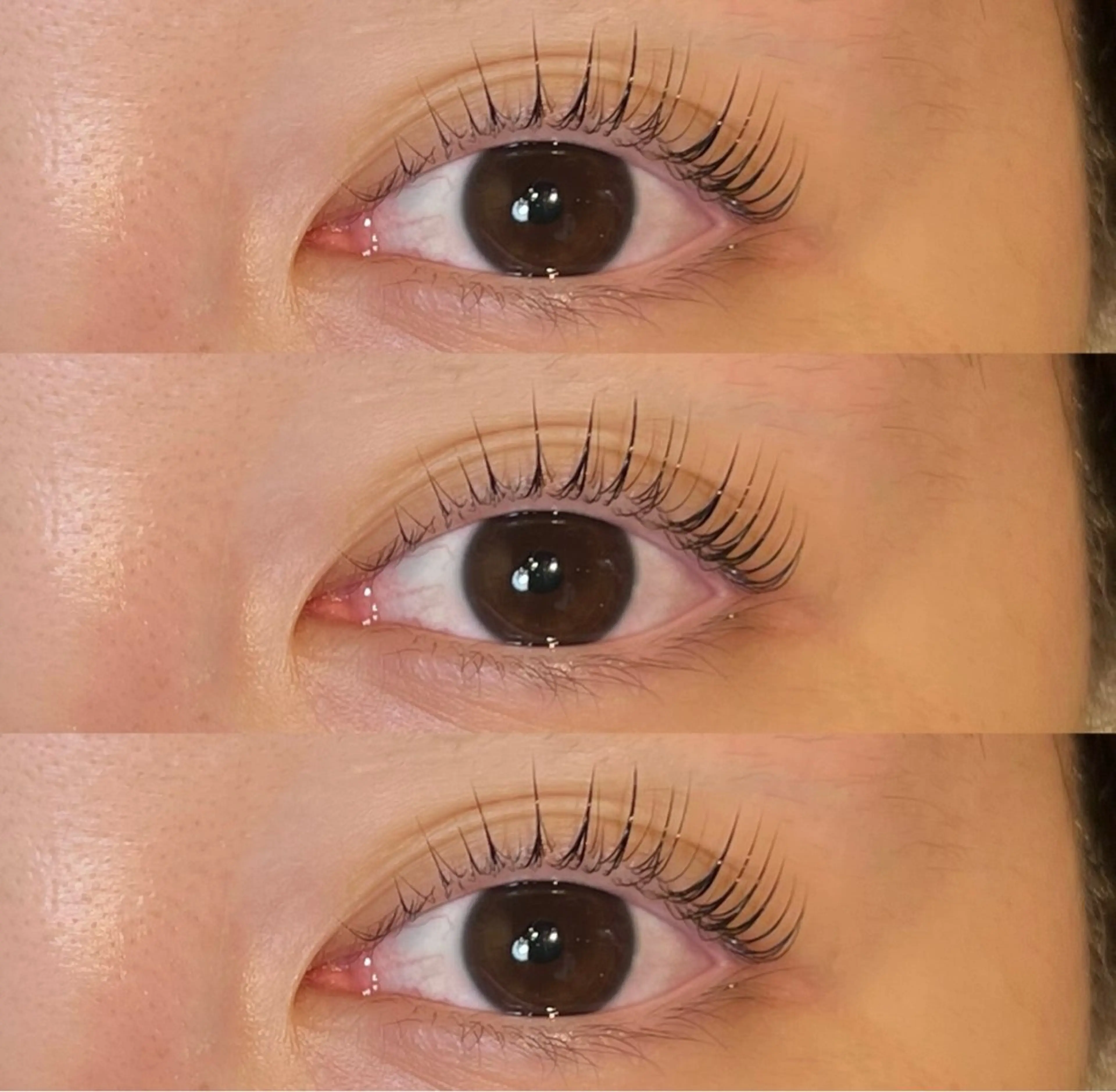 🧑‍🎓ミニモ学割　U24クーポン🧑‍🎓パリジェンヌラッシュリフトorラッシュリフト🌀✨の写真