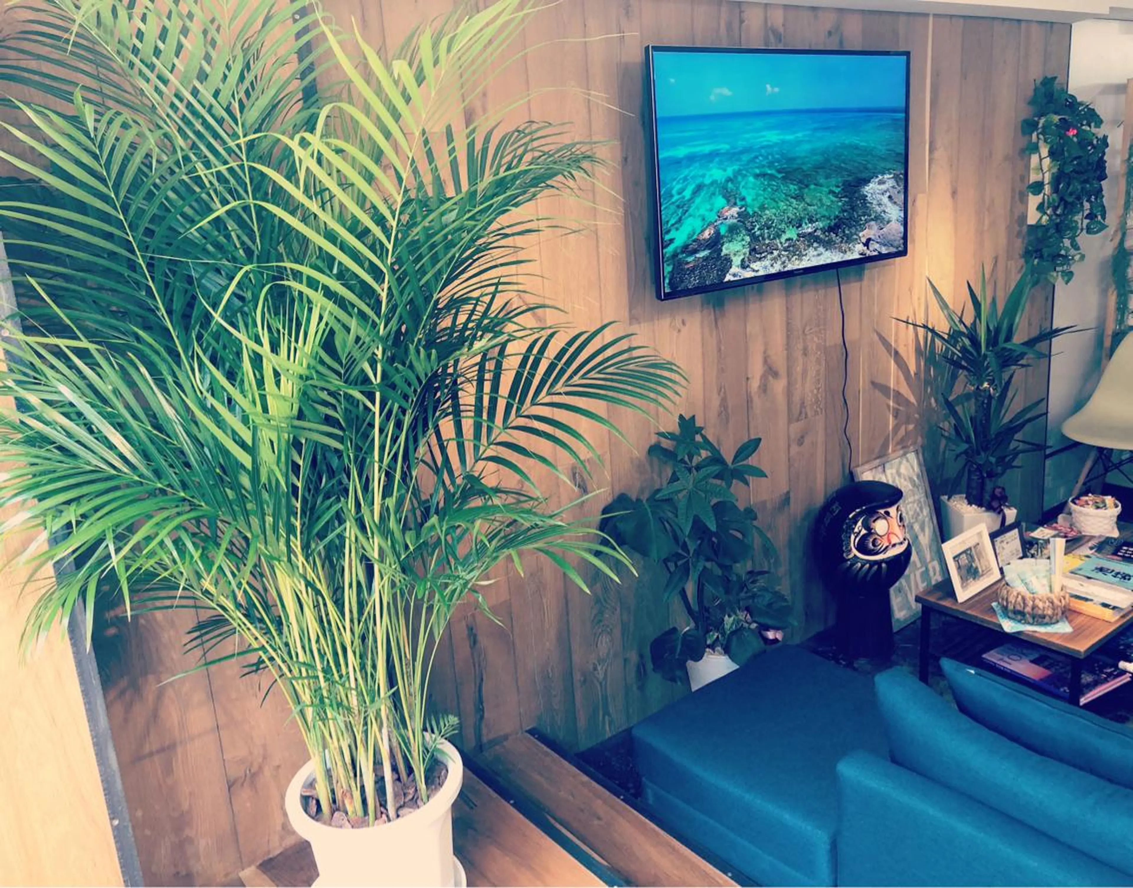 ショート カラー パーマ 髪質改善サロン Liko🌟のヘアスタイル