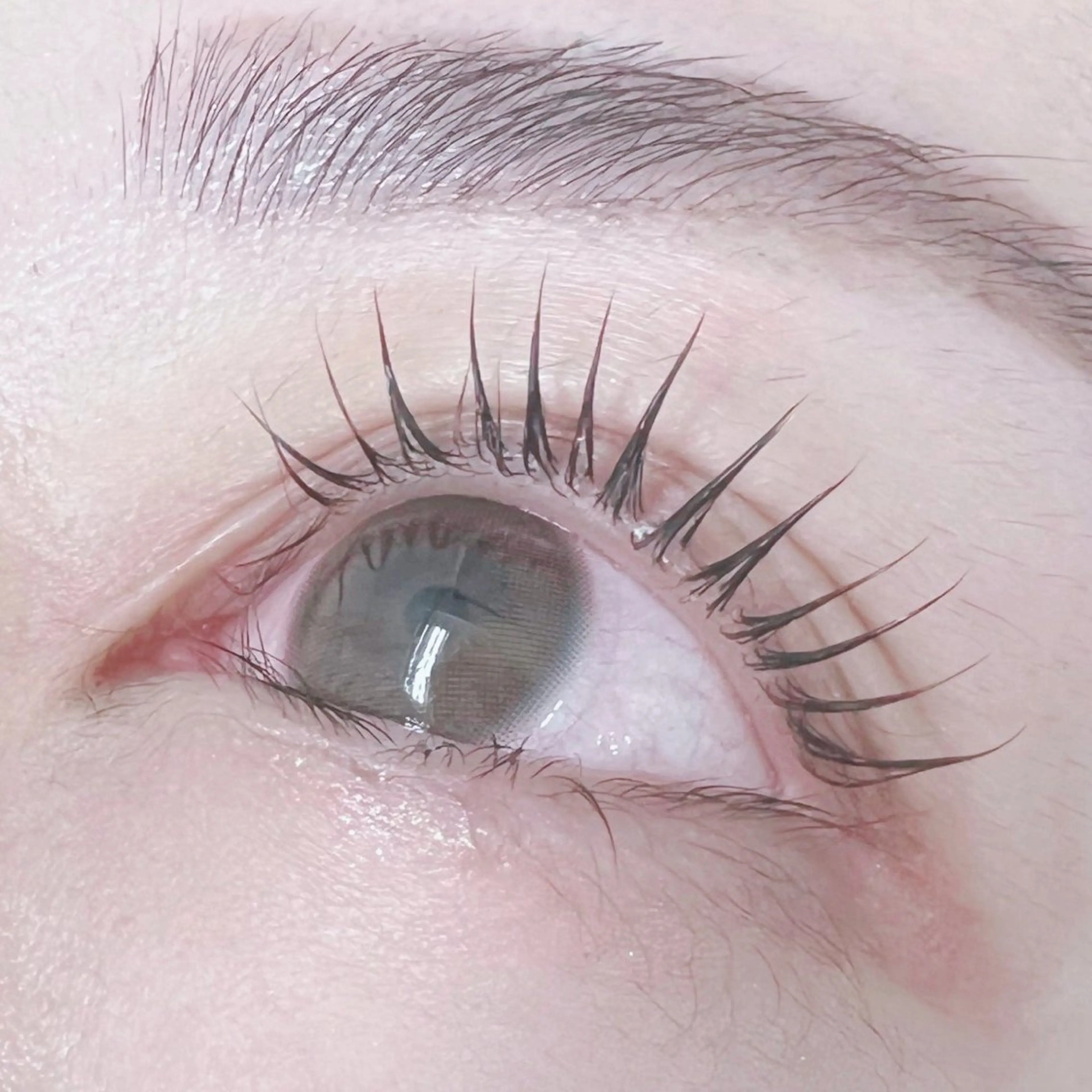 マツエク・マツパ glitter 京橋駅徒歩 1分のその他イメージ