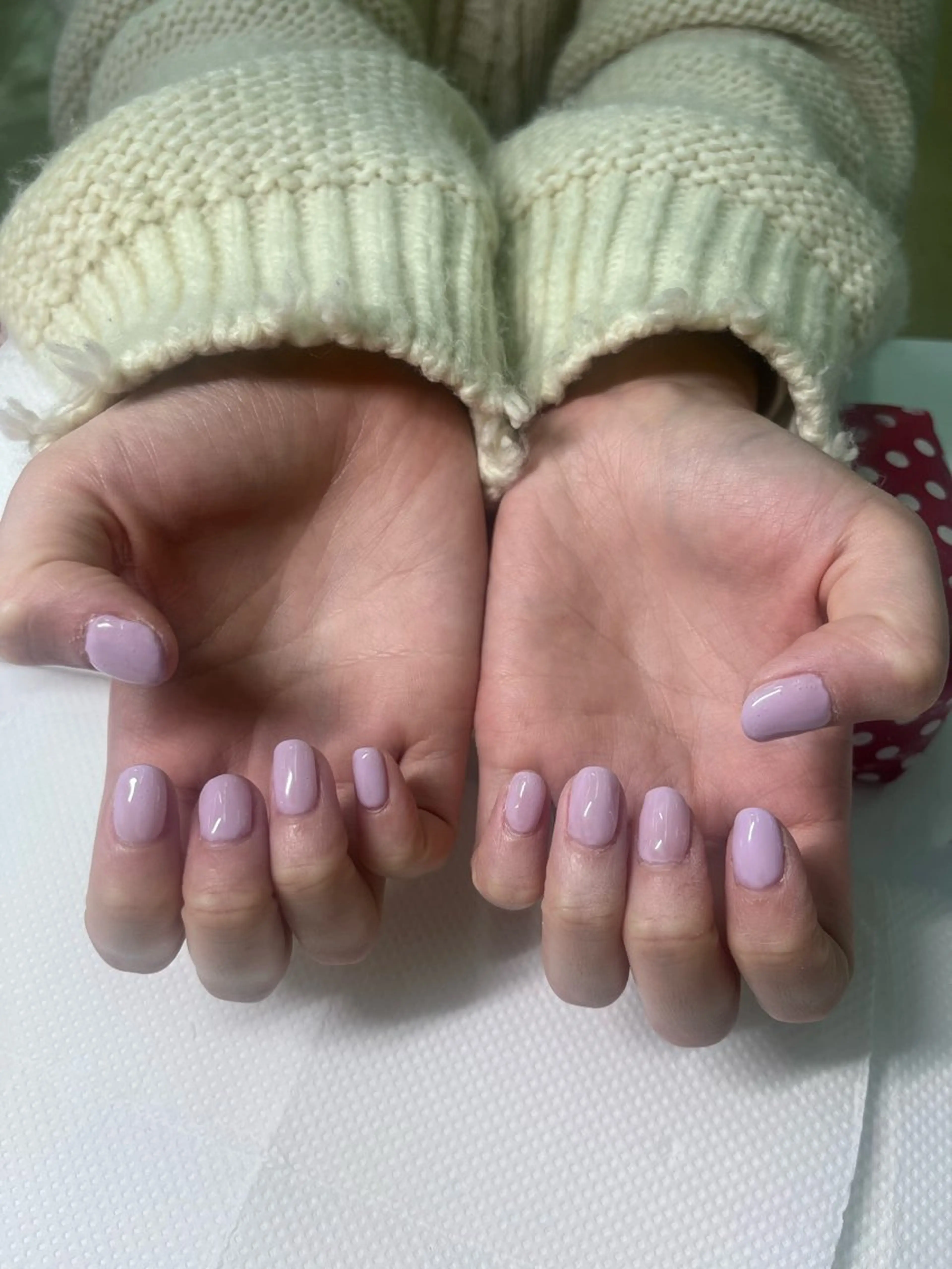 オフあり　ワンカラーの写真