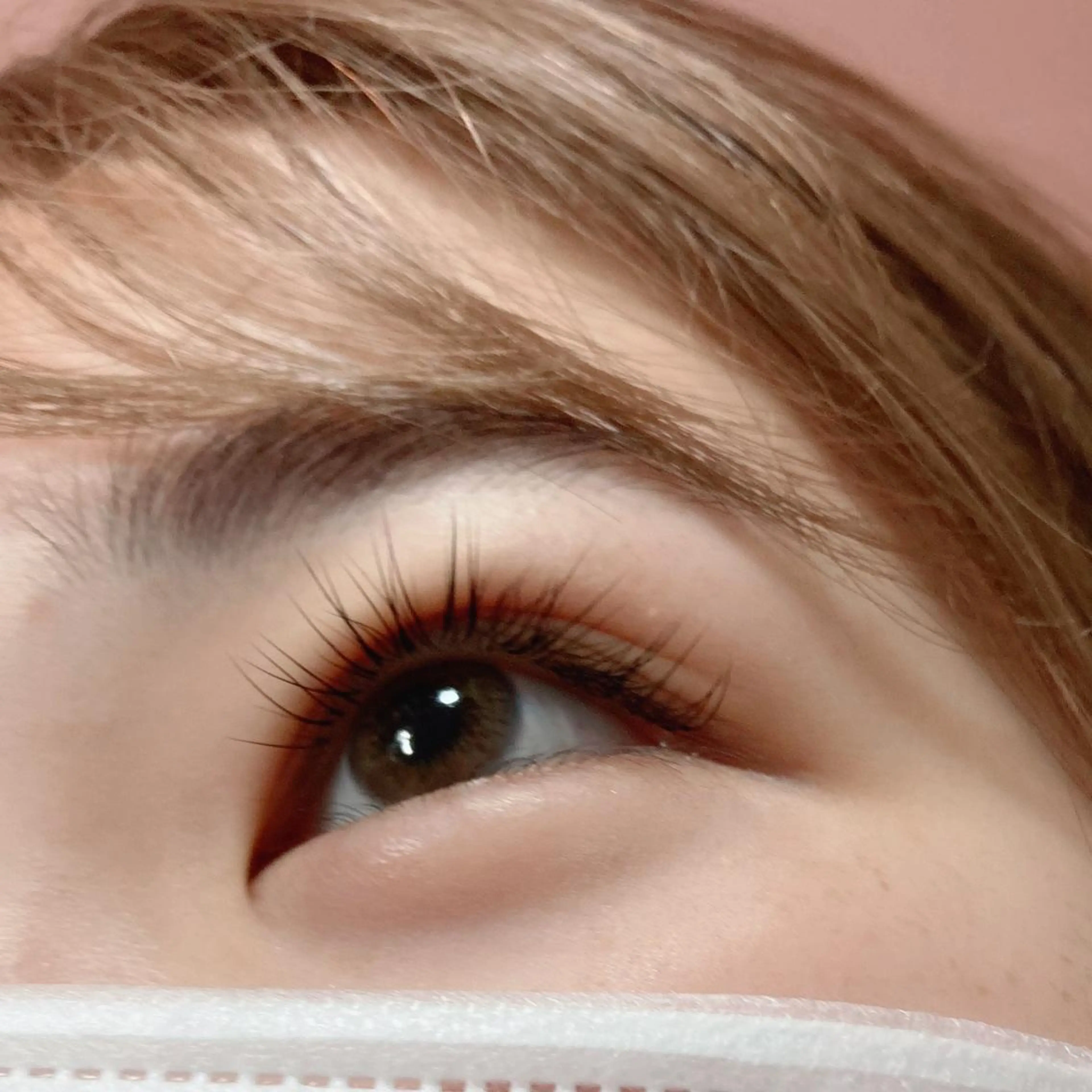 ãããšã¯ã»ããã oriharað ãŸã€ãããŒã/çæ¯ã®ãããšã¯ã»ããããã¶ã€ã³