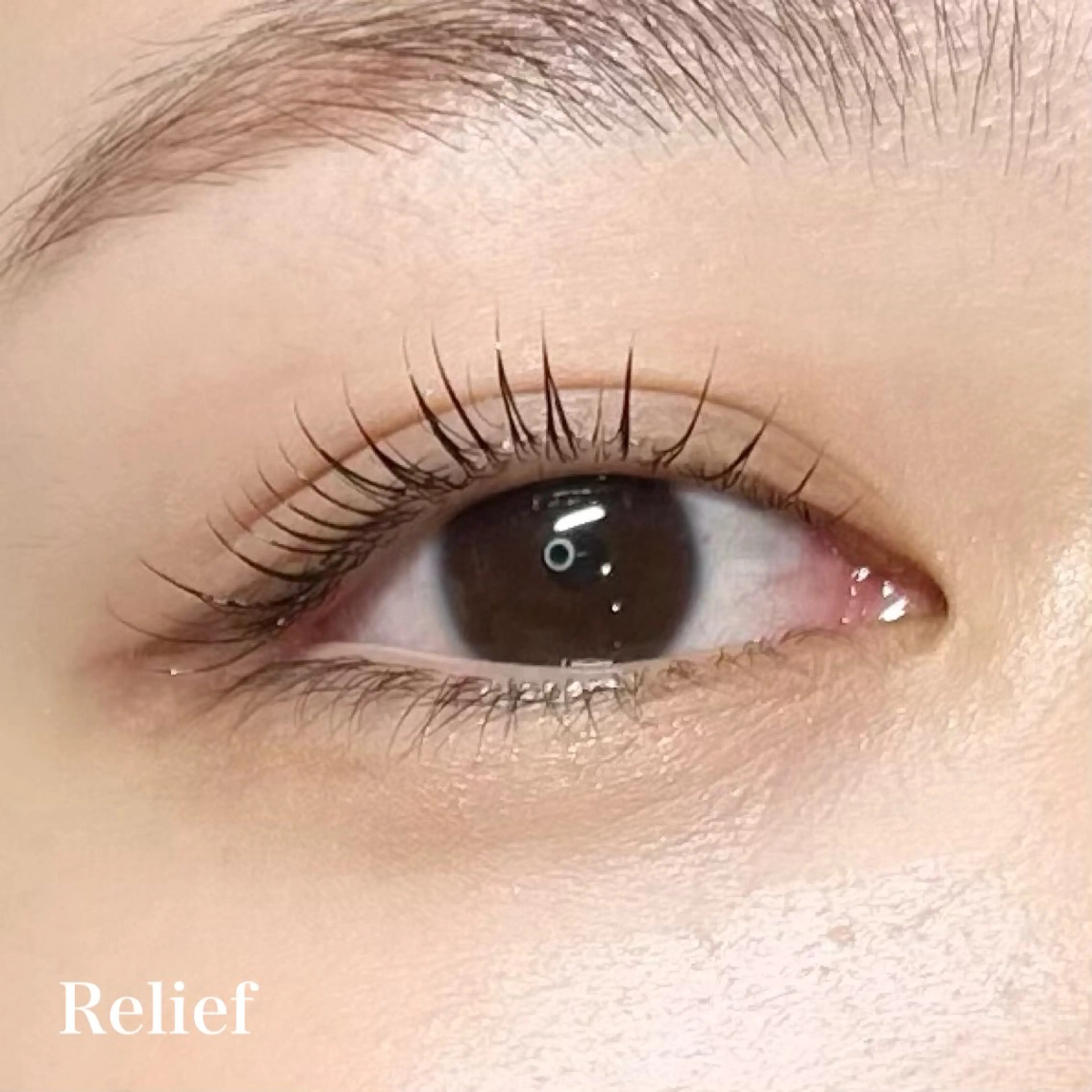 マツエク・マツパ Relief 🕊️のマツエク・マツパデザイン