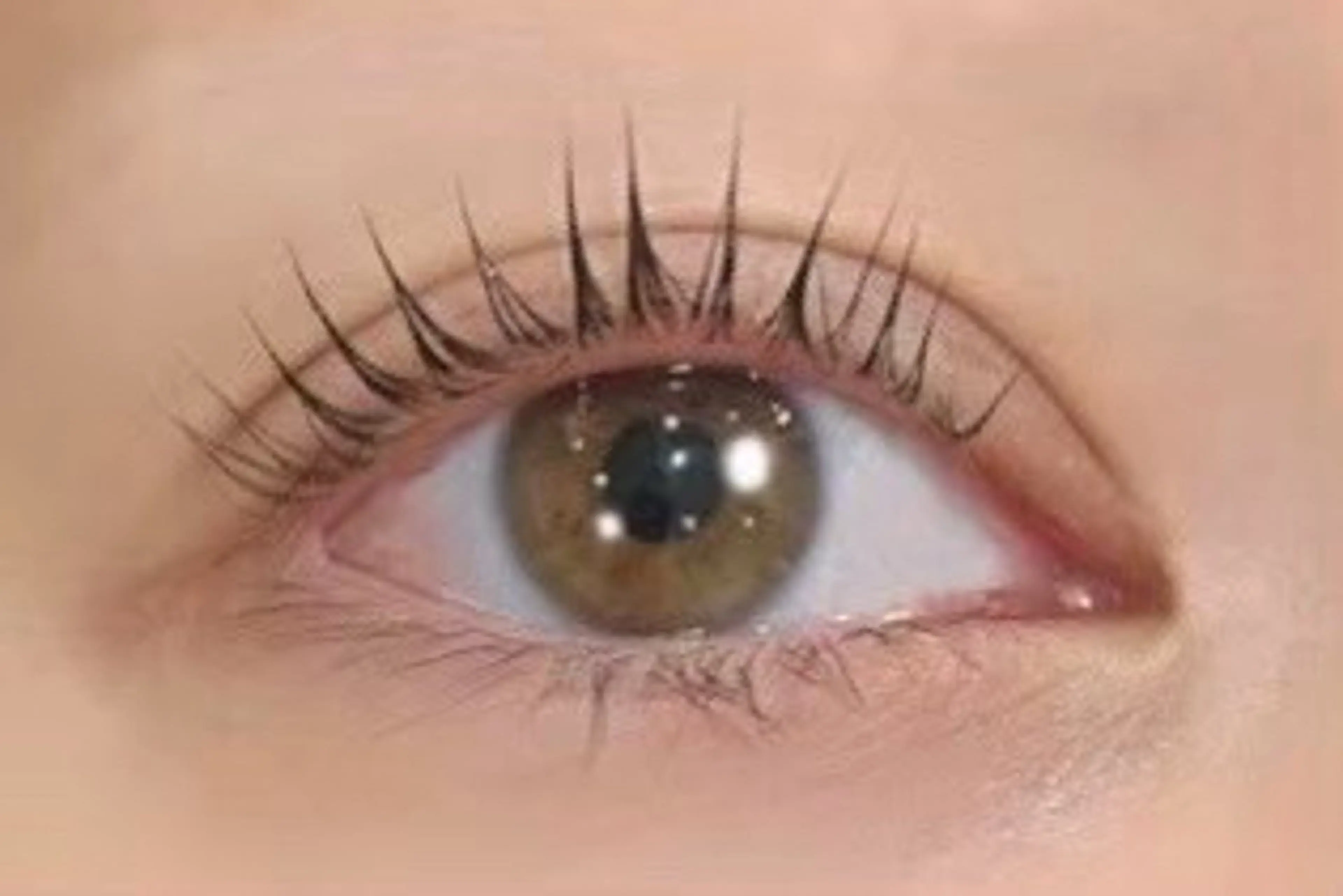 ⭐️オフのみ⭐️アイシャンプー付き💖の写真