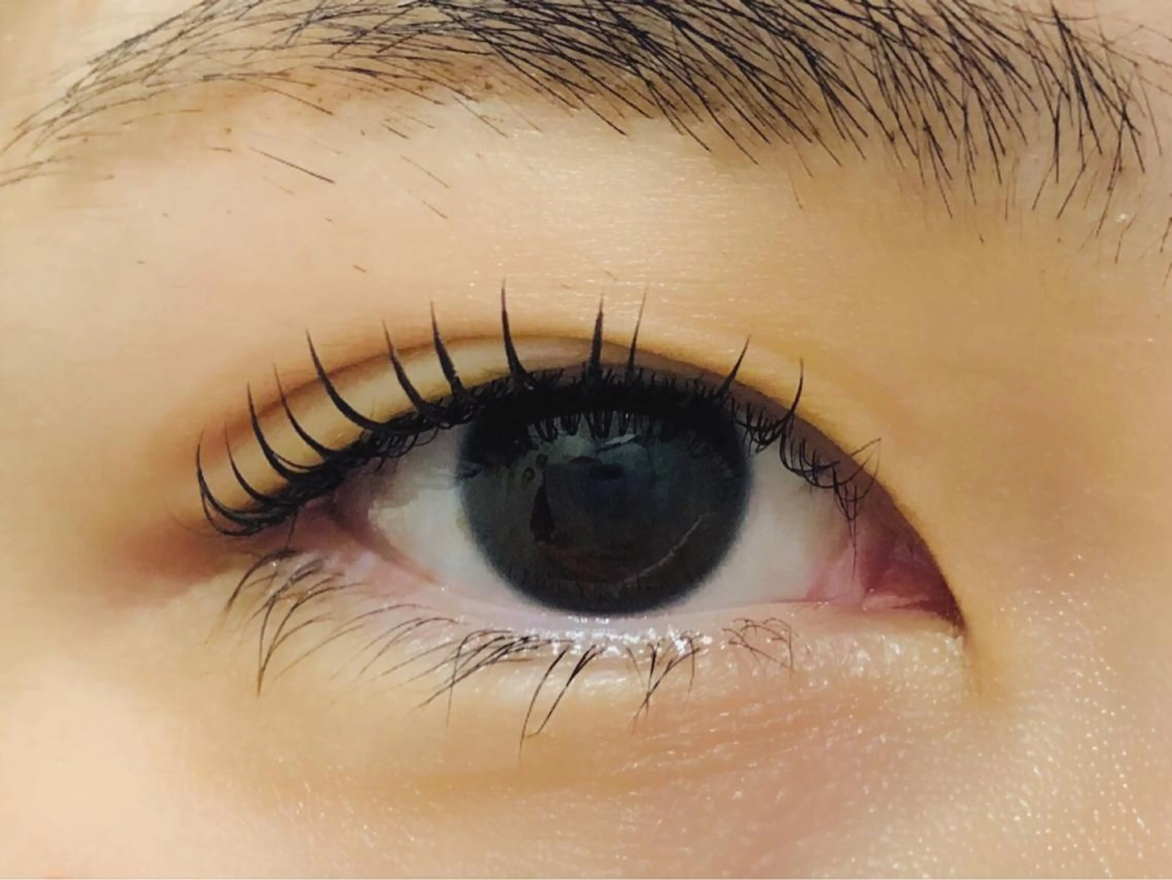 マツエク・マツパ フラットラッシュ パリジェンヌラッシュリフト セーブル 一重×まつ毛パーマ ボリュームラッシュ eyelash salon sopo所属・sopo 山口のマツエク・マツパデザイン