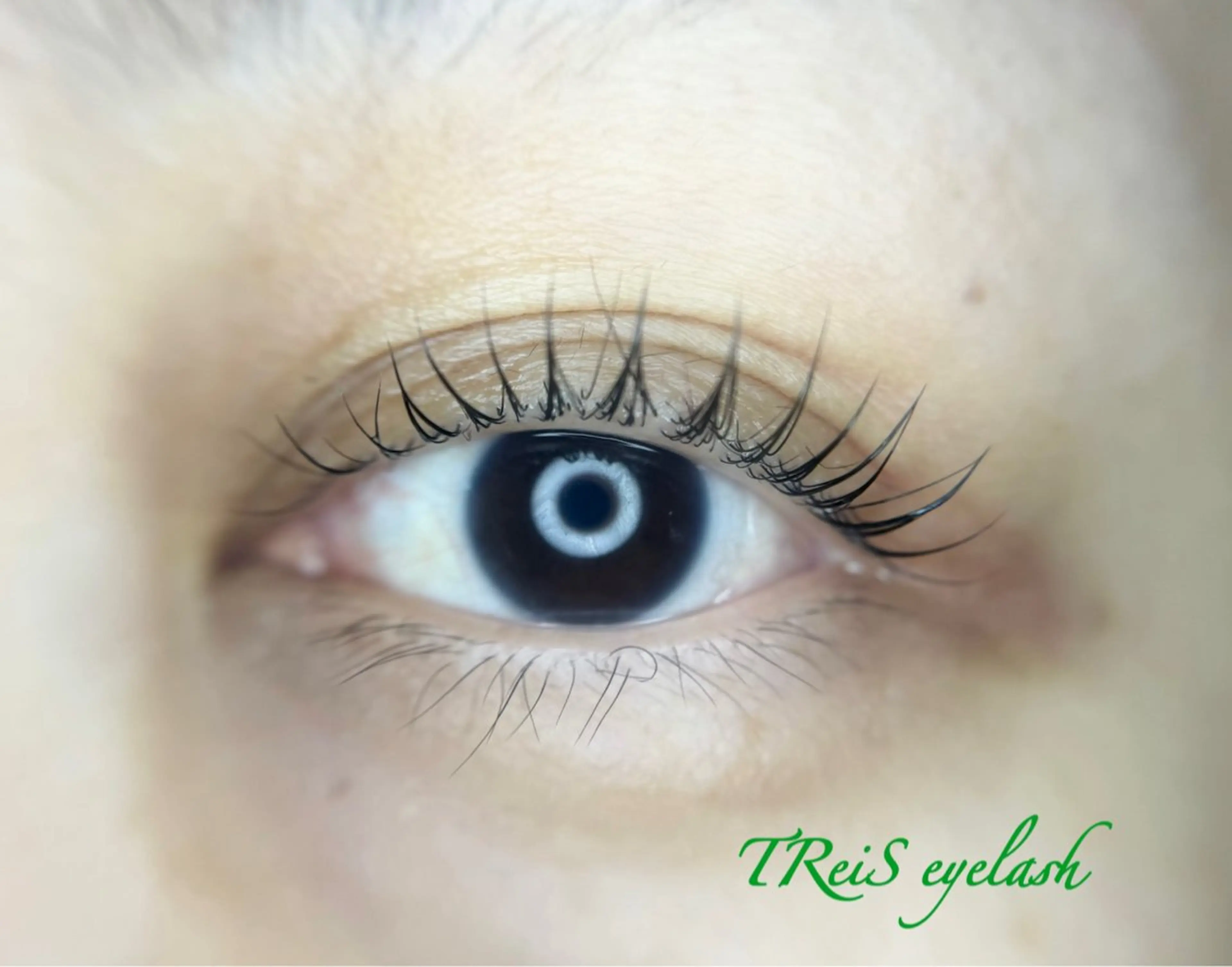 マツエク・マツパ TReiS所属・TReiS eyelashのマツエク・マツパデザイン
