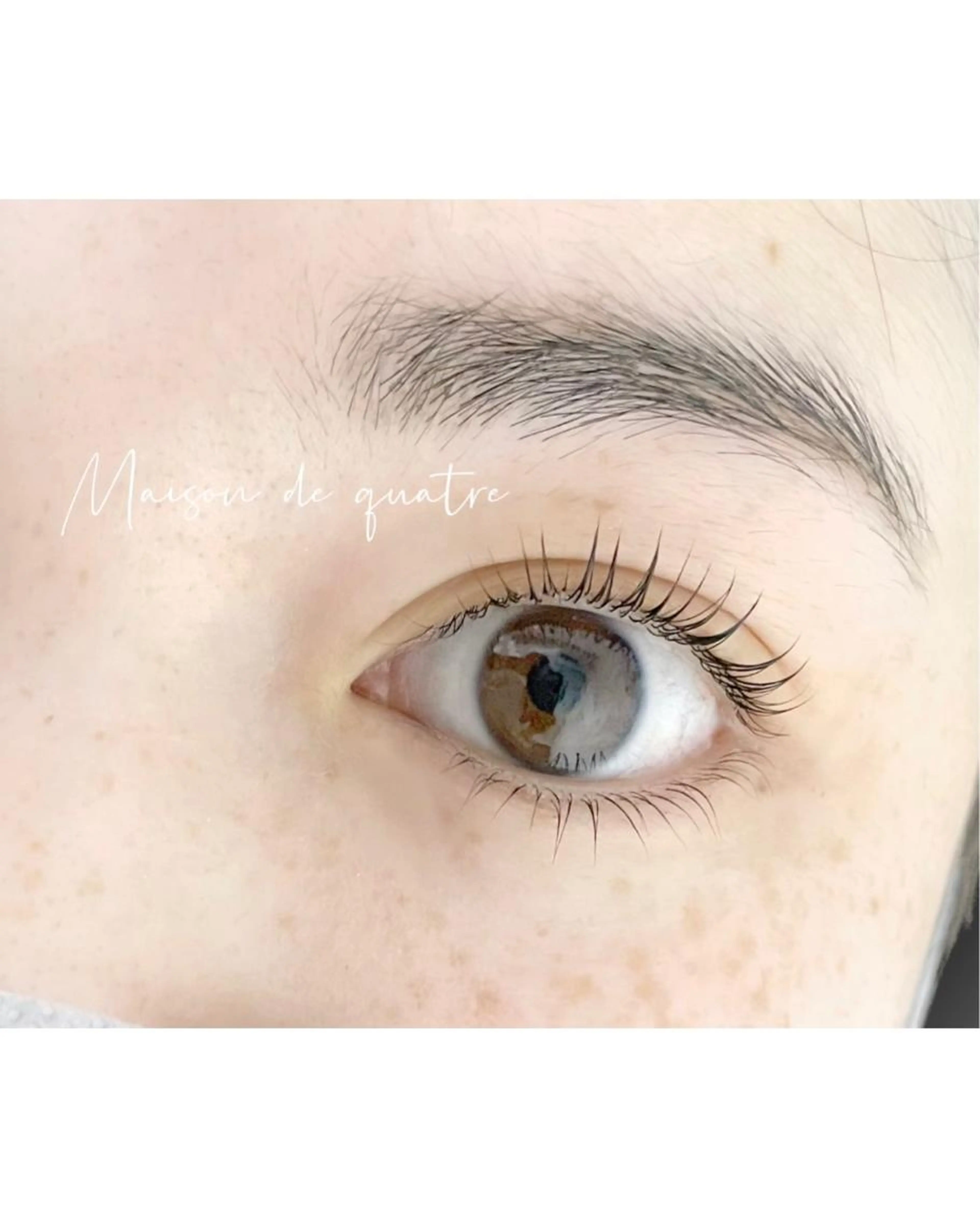 上下まつ毛パーマ🫖🥨の写真