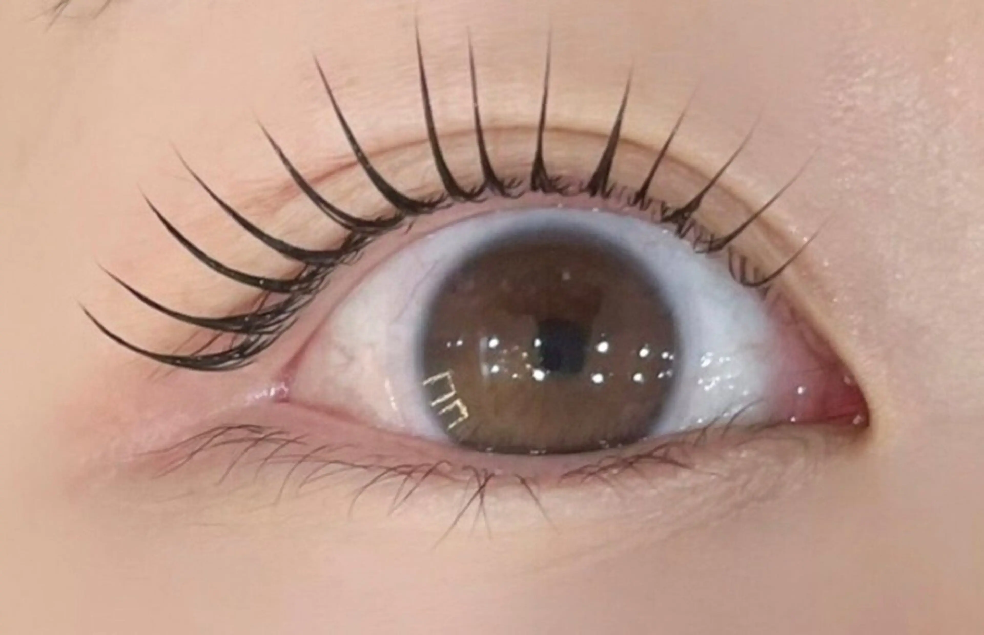 マツエク・マツパ マツパ 🌹ブリランテ🌹 大人気店のマツエク・マツパデザイン