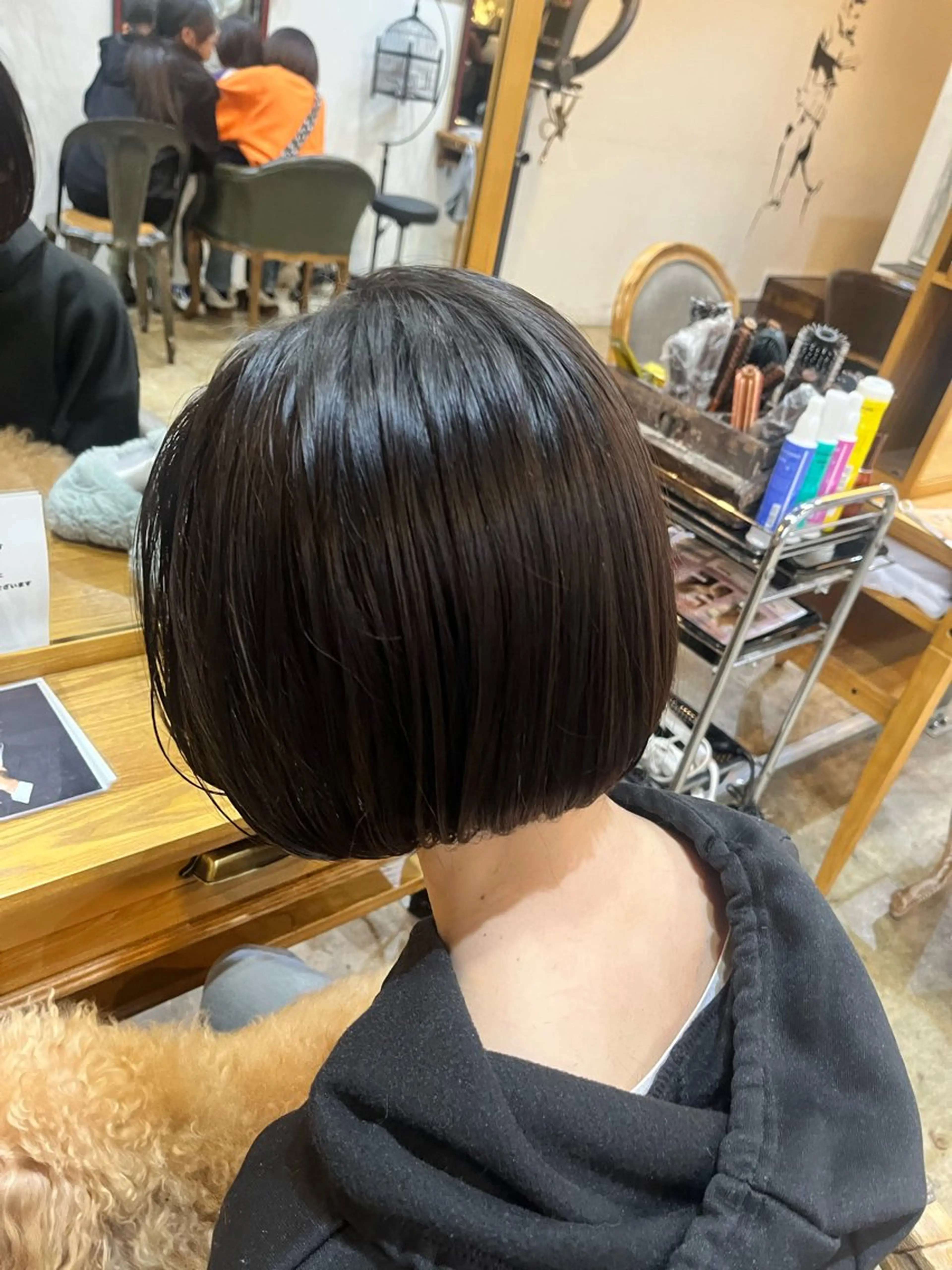 ショート キッズ 松原 樹里のヘアスタイル