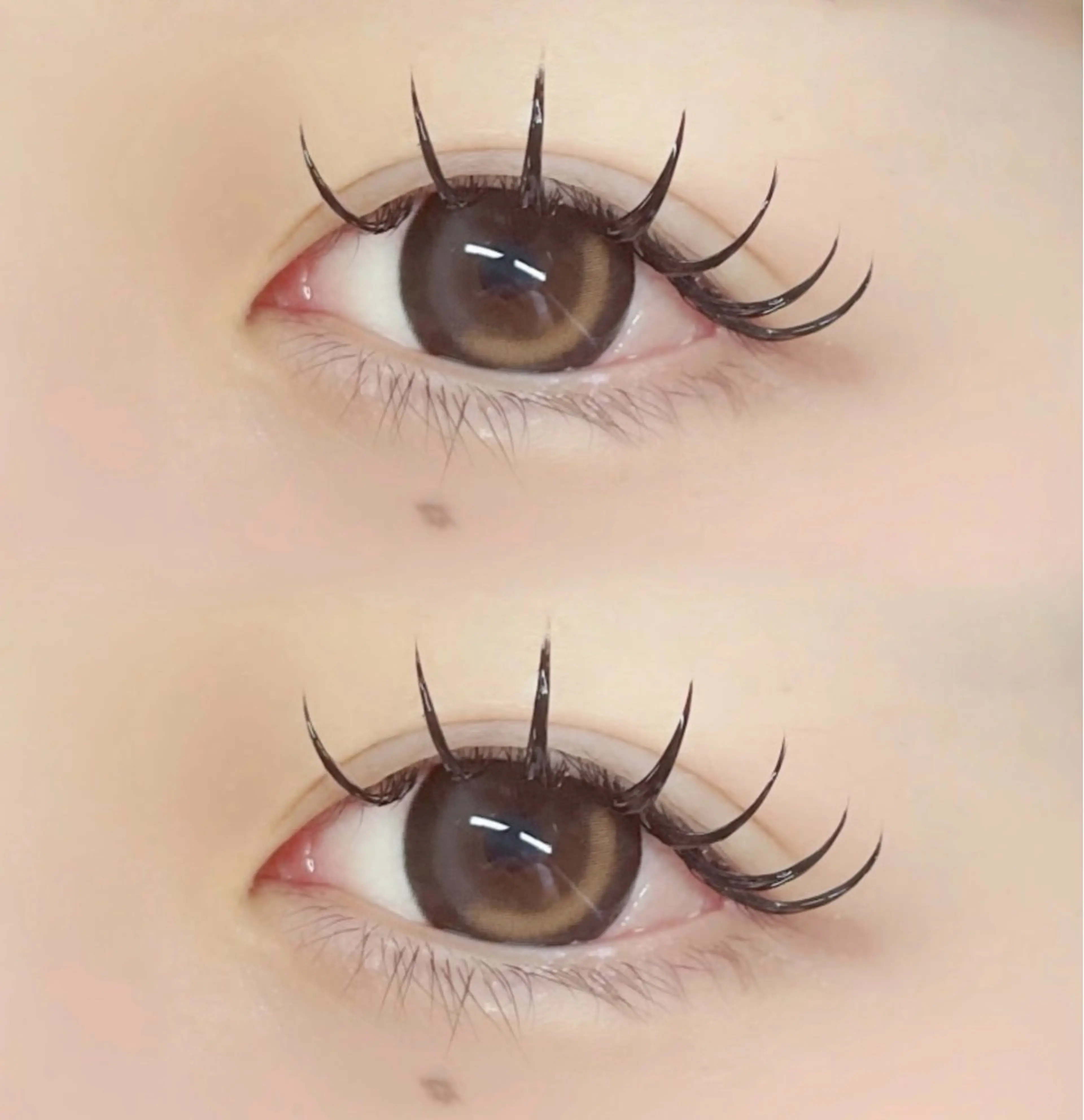 [12月限定価格/ LED変更可]  フラットラッシュ160本🎄の写真