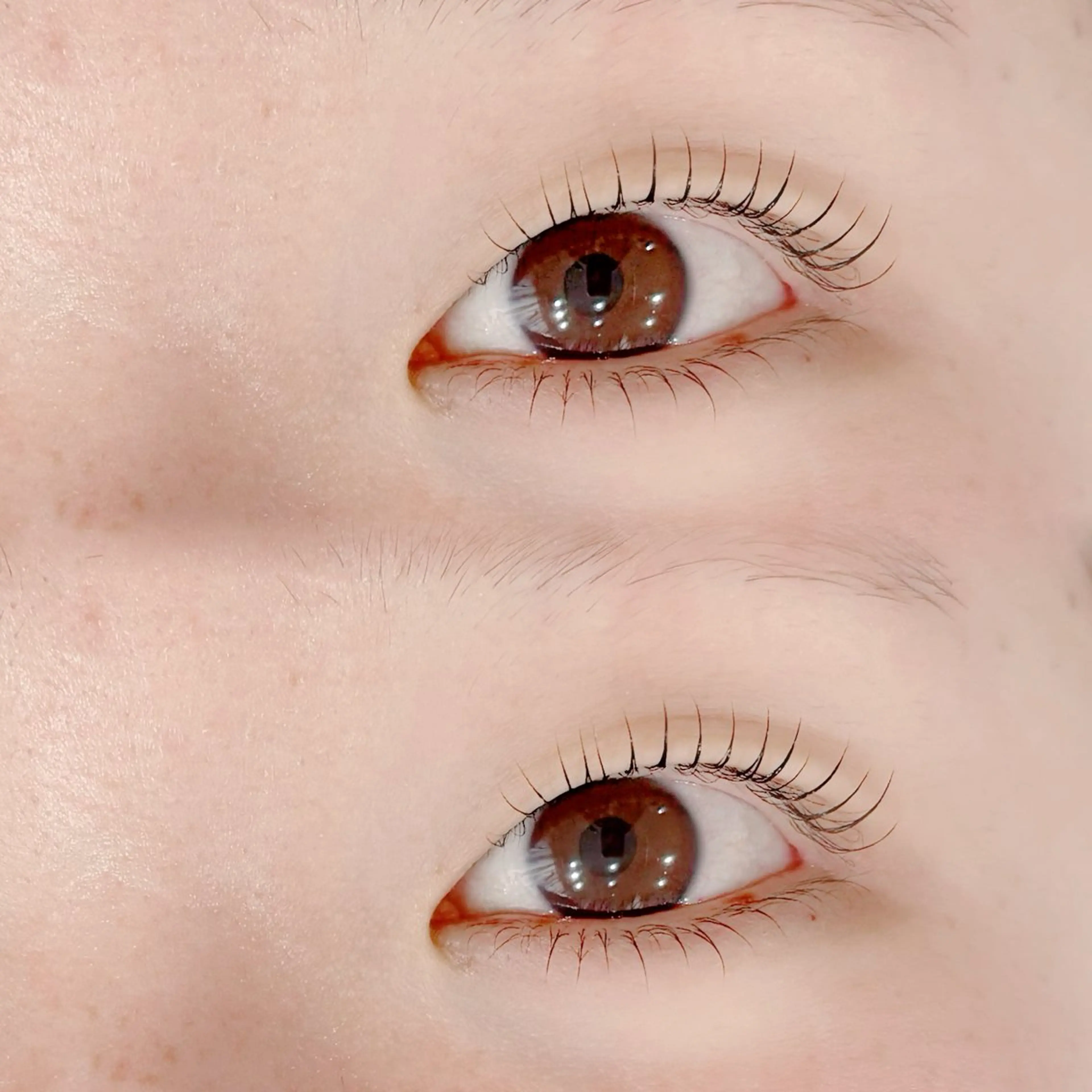 マツエク・マツパ マツパ 【feliz】 HARU🌷のマツエク・マツパデザイン