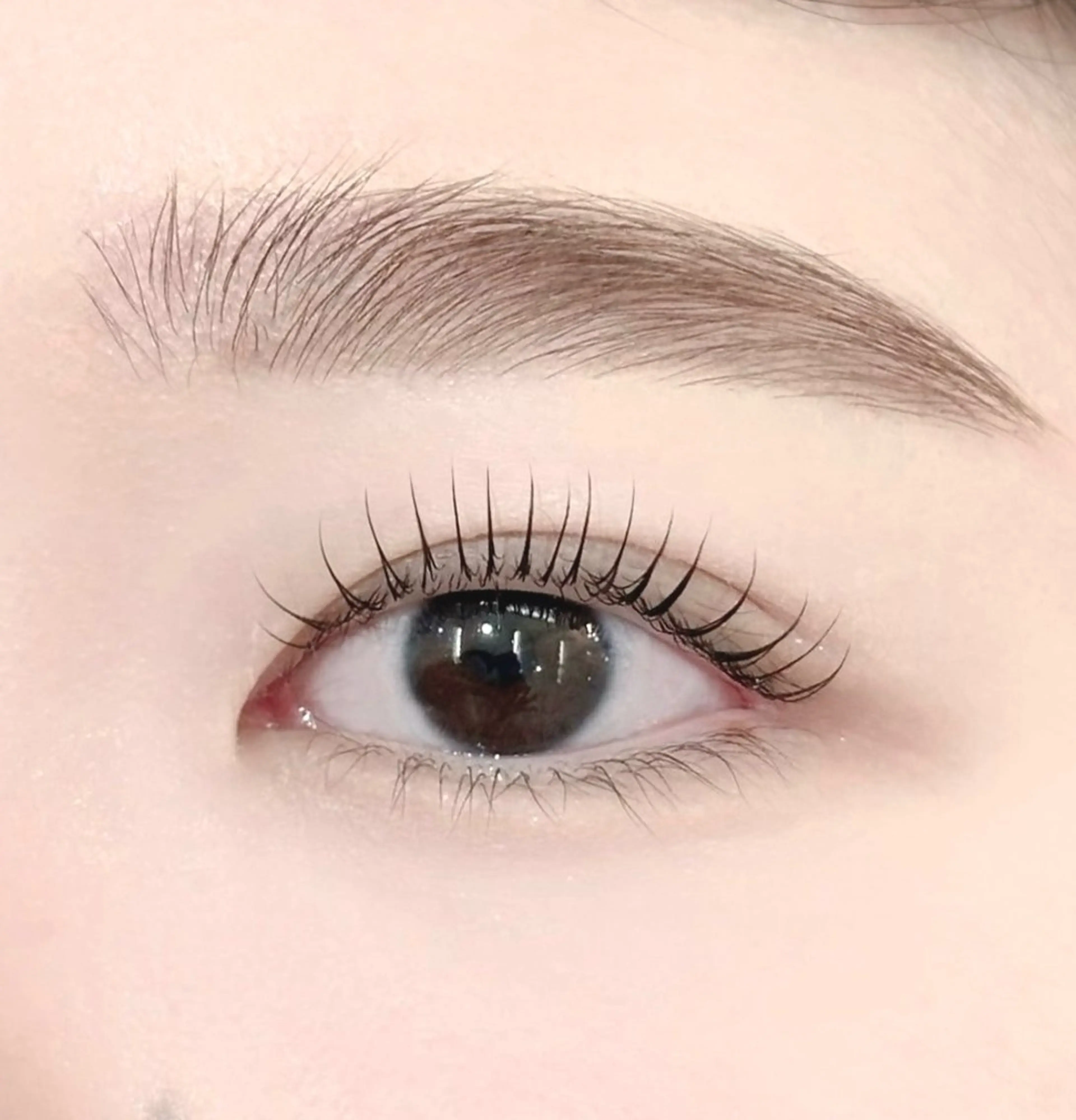 💎ご新規様限定💎ミニモ学割💎まつ毛パーマ➕眉毛ワックス💎の写真