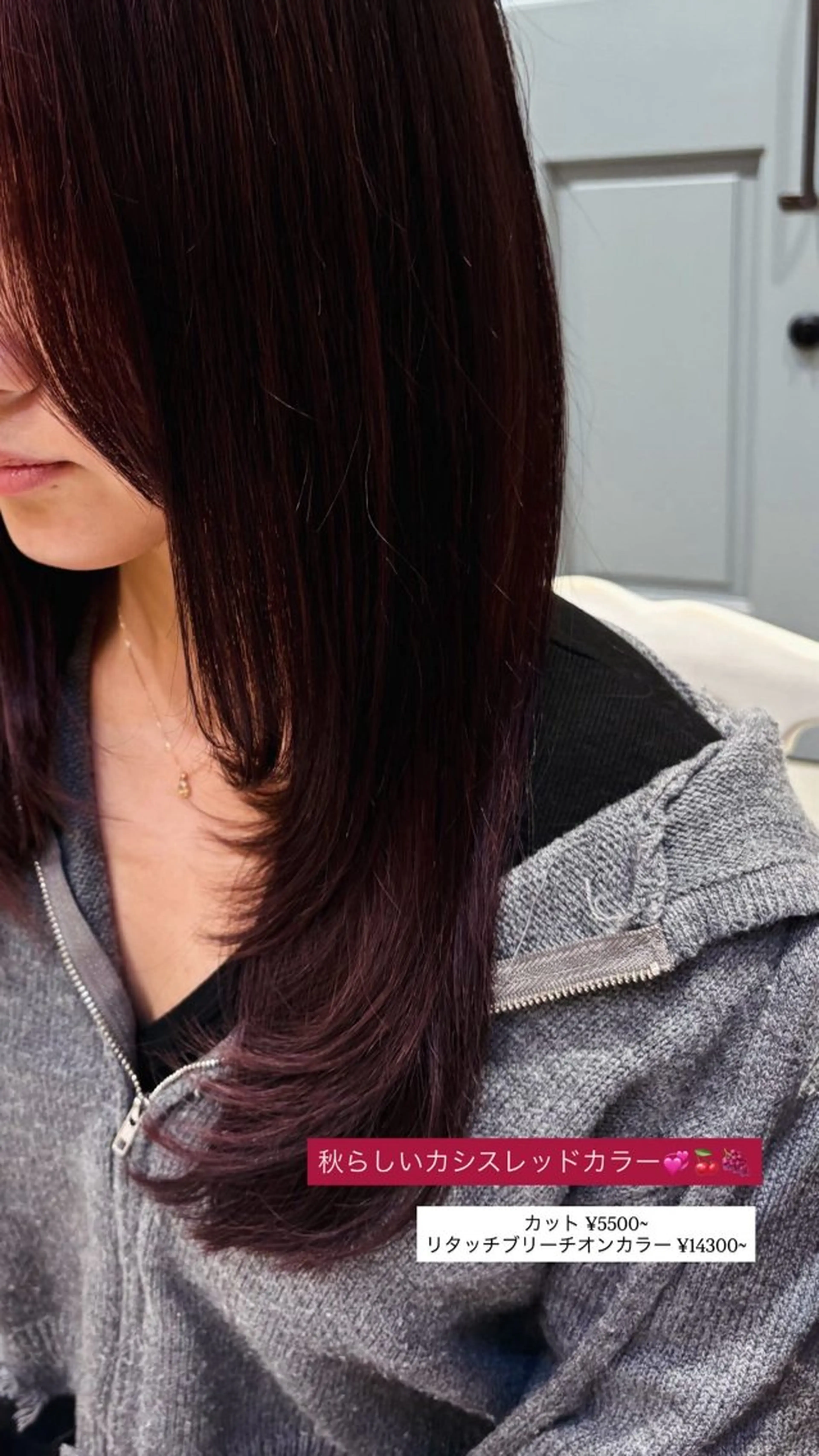 カラー カシス レッドカラー ヘアカラー つちだ ゆうひ / 暗髪カラー⟡.·のヘアスタイル