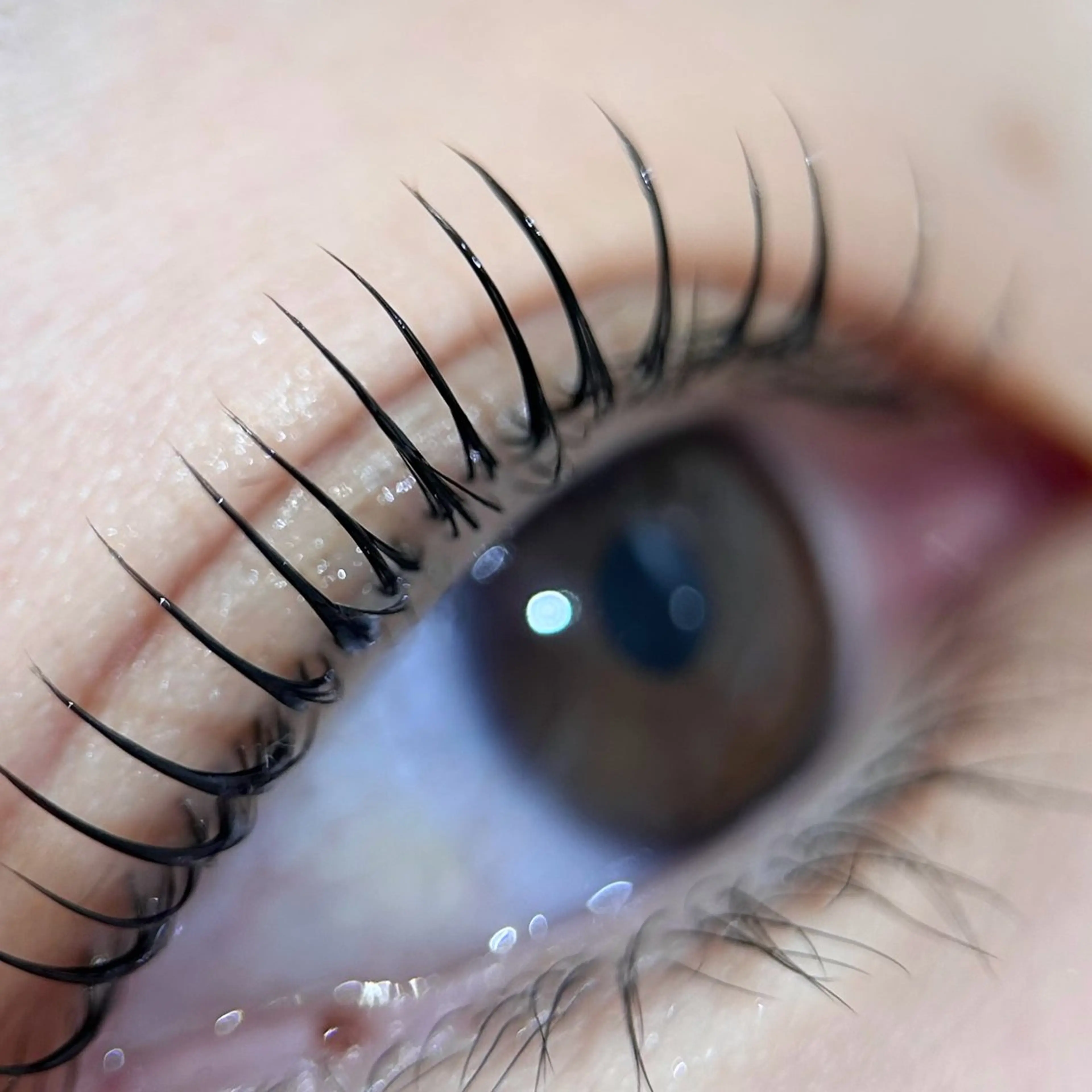 SNSにあげるためにお顔の写真を必ずお撮りします。トリートメント、コーティング仕上げ。まつげエクステは外してご利用下さいの写真