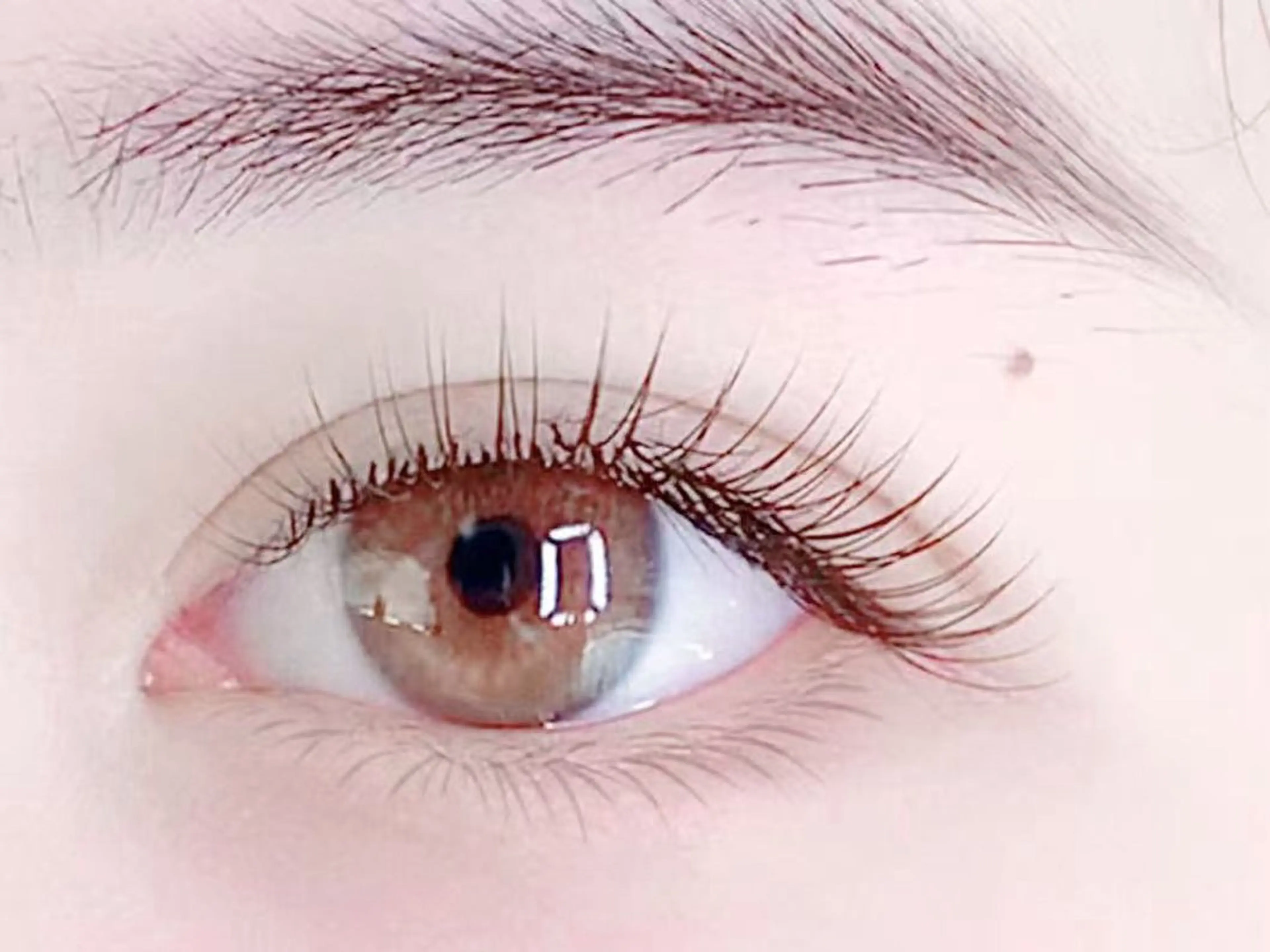 マツエク・マツパ ☆cece☆ マツエクのマツエク・マツパデザイン