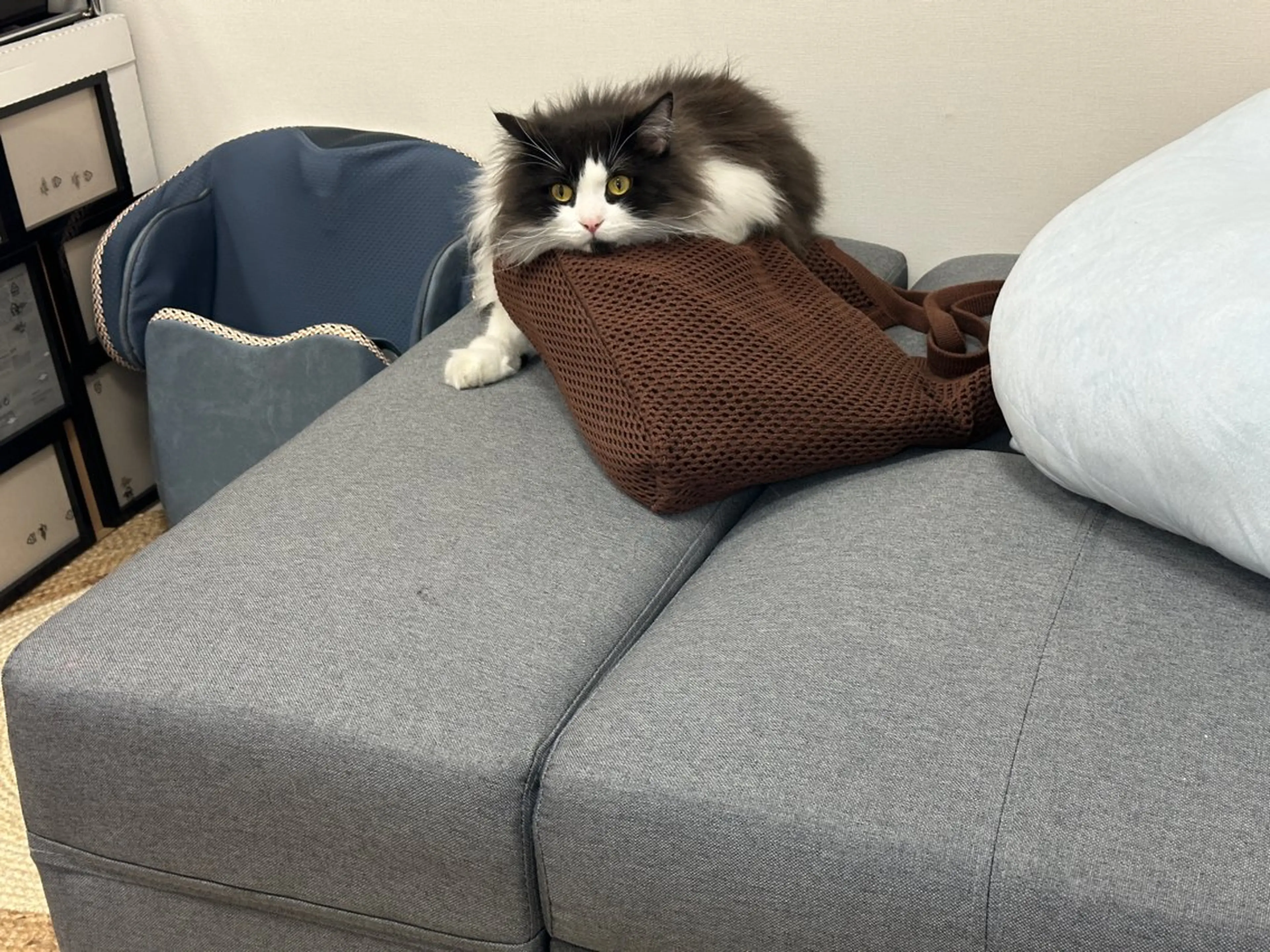 ネイル Eveネイル チップスカルプ専門店のネイルデザイン