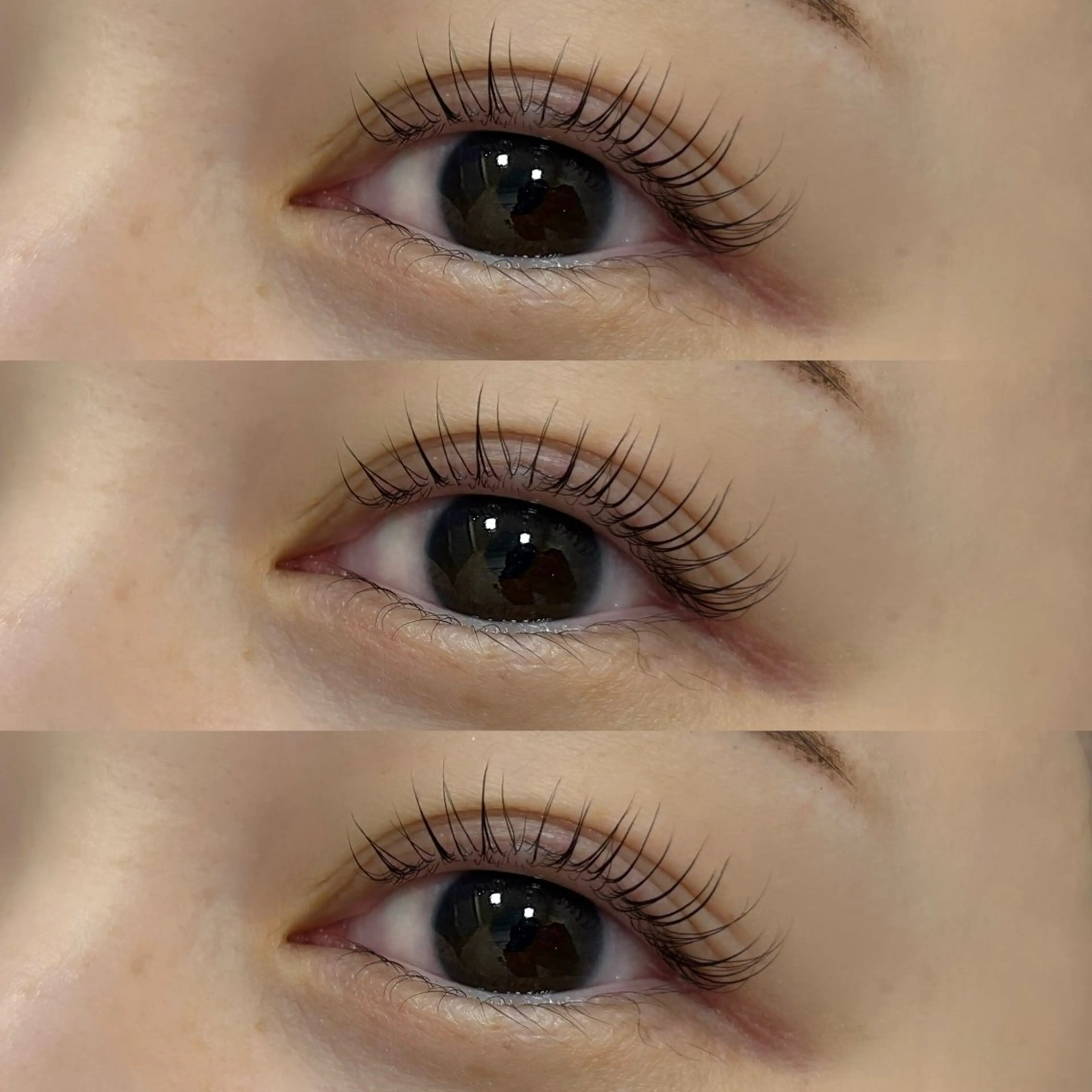 マツエク・マツパ マツパ 眉とまつ毛の 専門サロン/南森町のマツエク・マツパデザイン