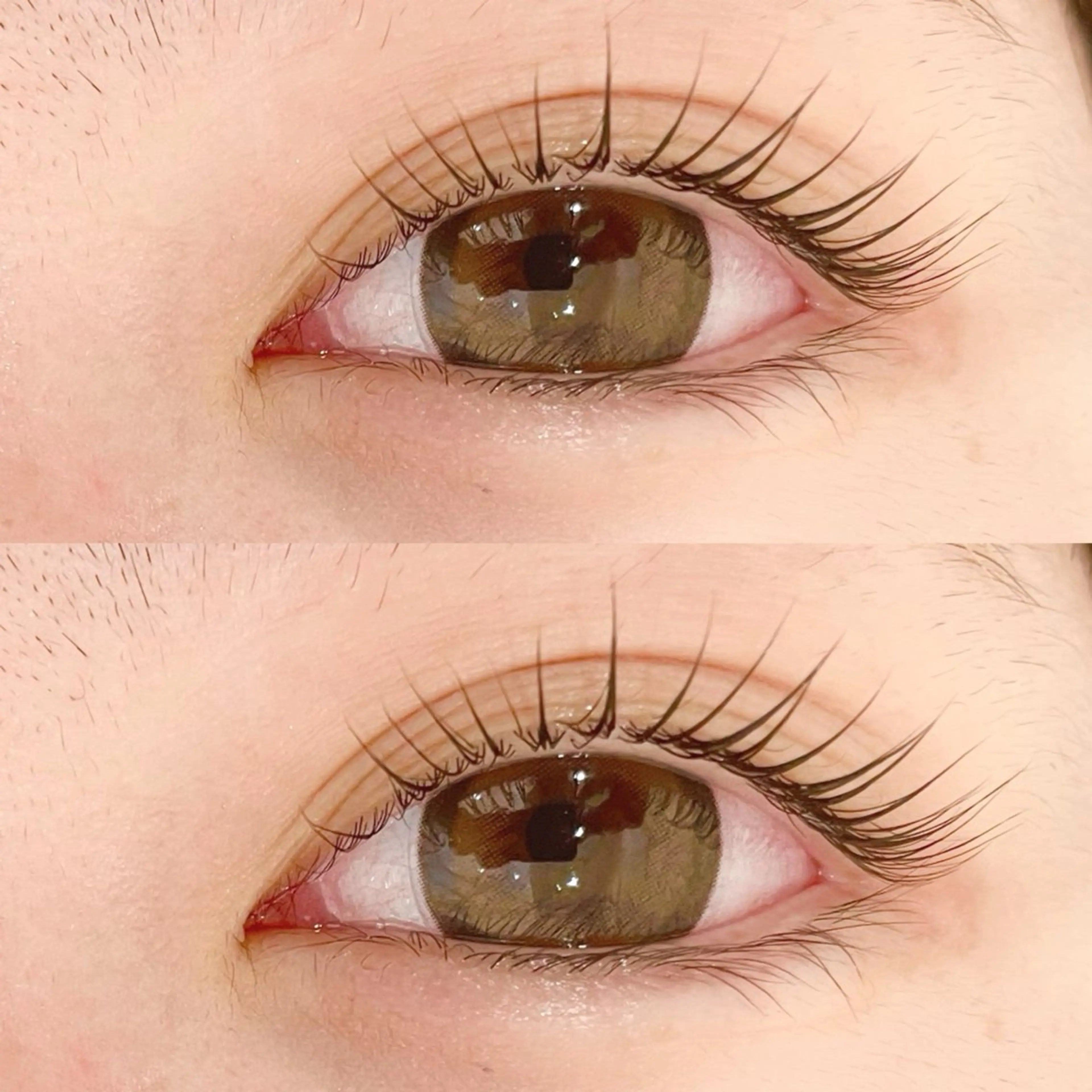 まつ毛パーマ🫧無料モデル様募集🎀の写真