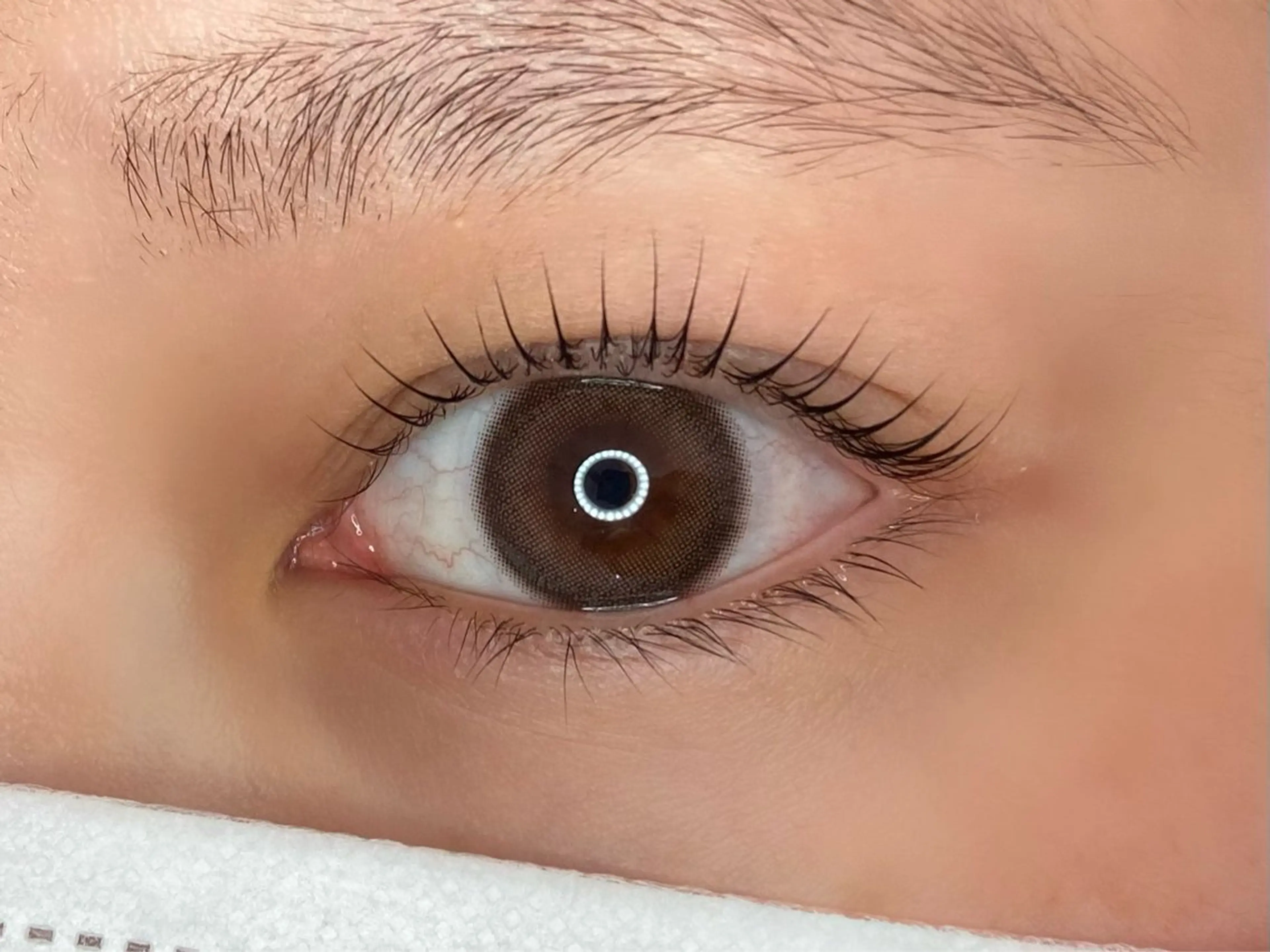 マツエク・マツパ マツパ Lupinus 長澤のマツエク・マツパデザイン