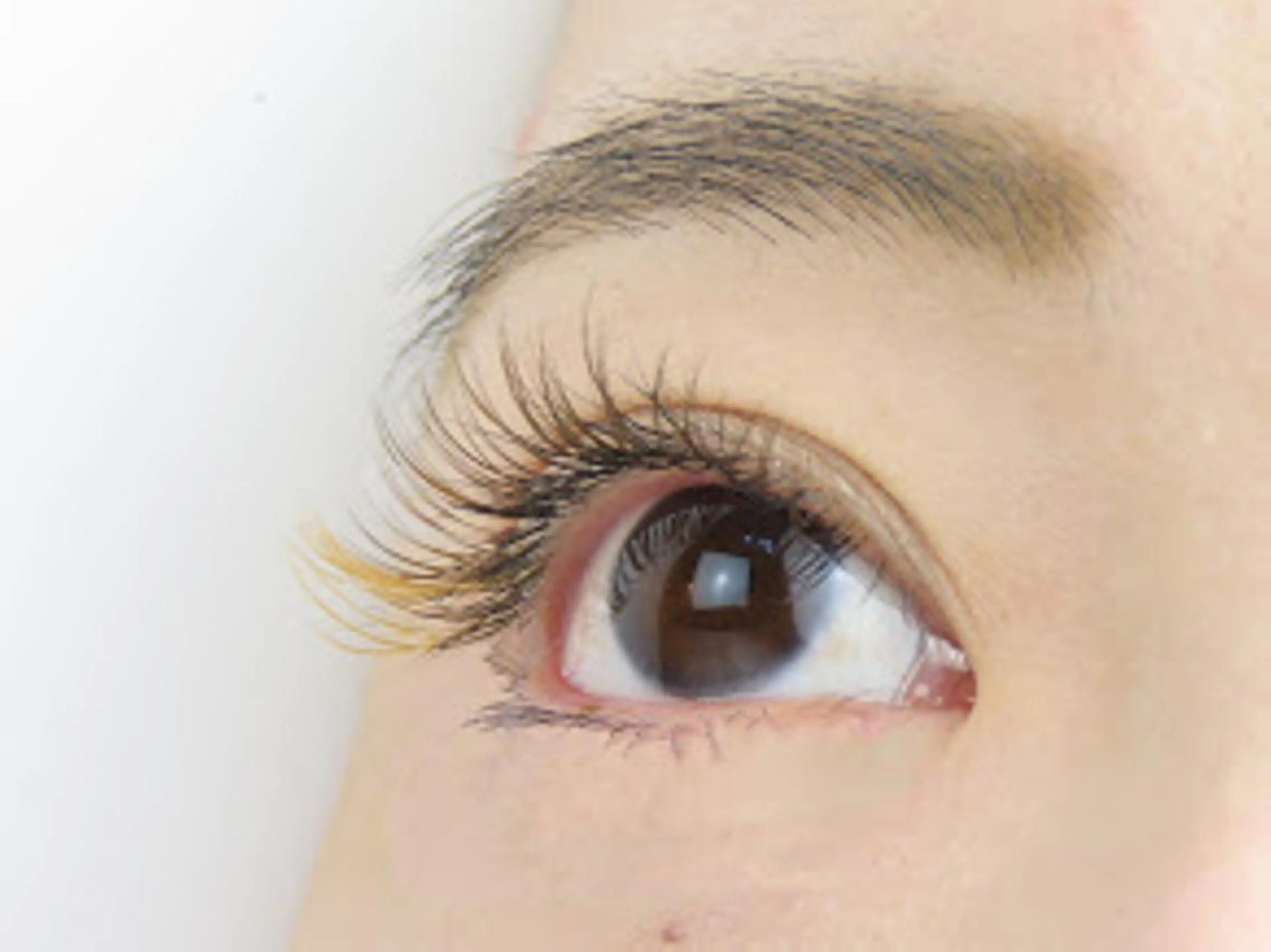 マツエク・マツパ カラーマツエク BE CAREの眉毛・アイブロウイメージ