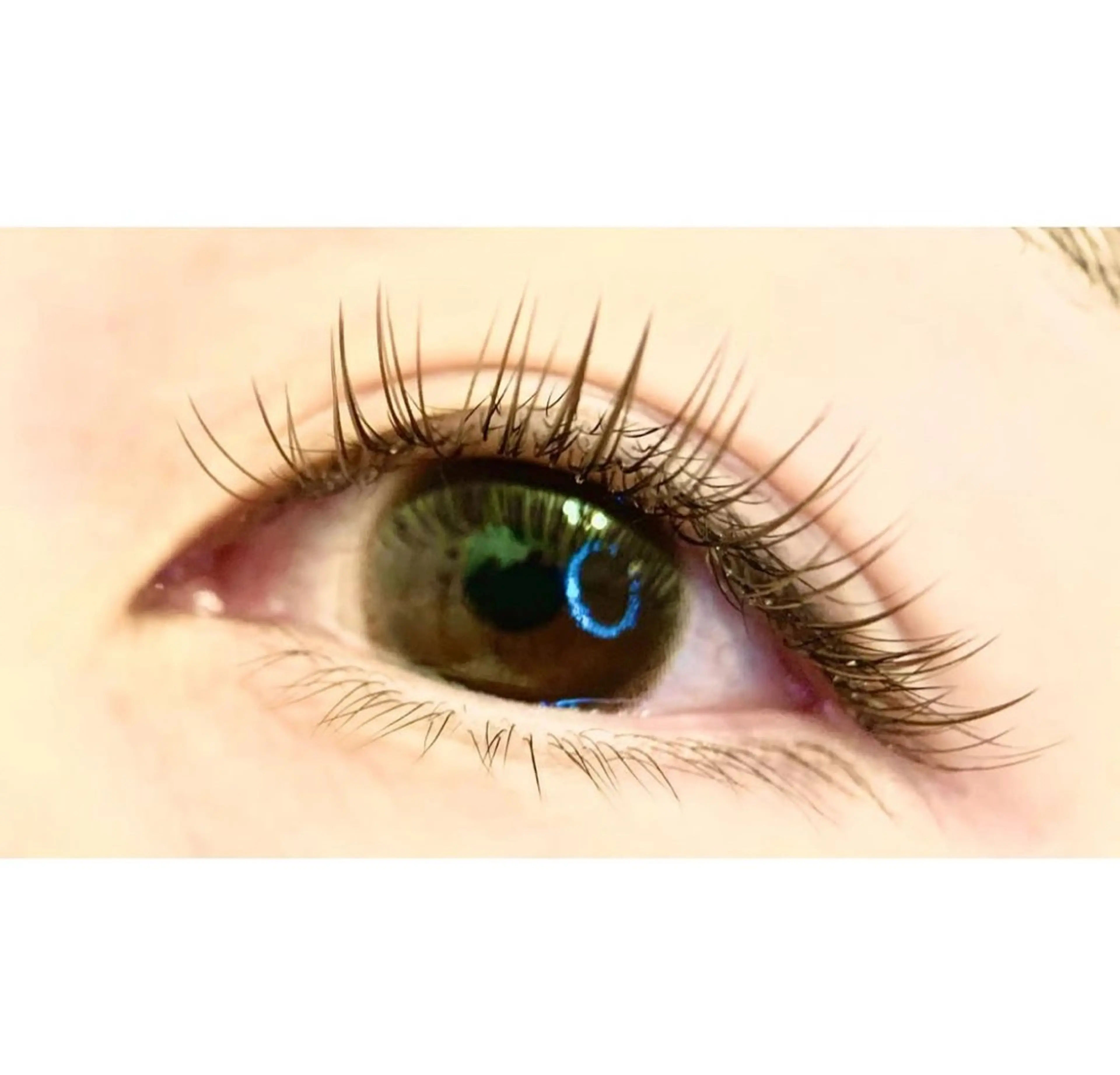 ✨ご新規様限定✨オフあり⭕️✨LED✨フラットラッシュ120本✨の写真