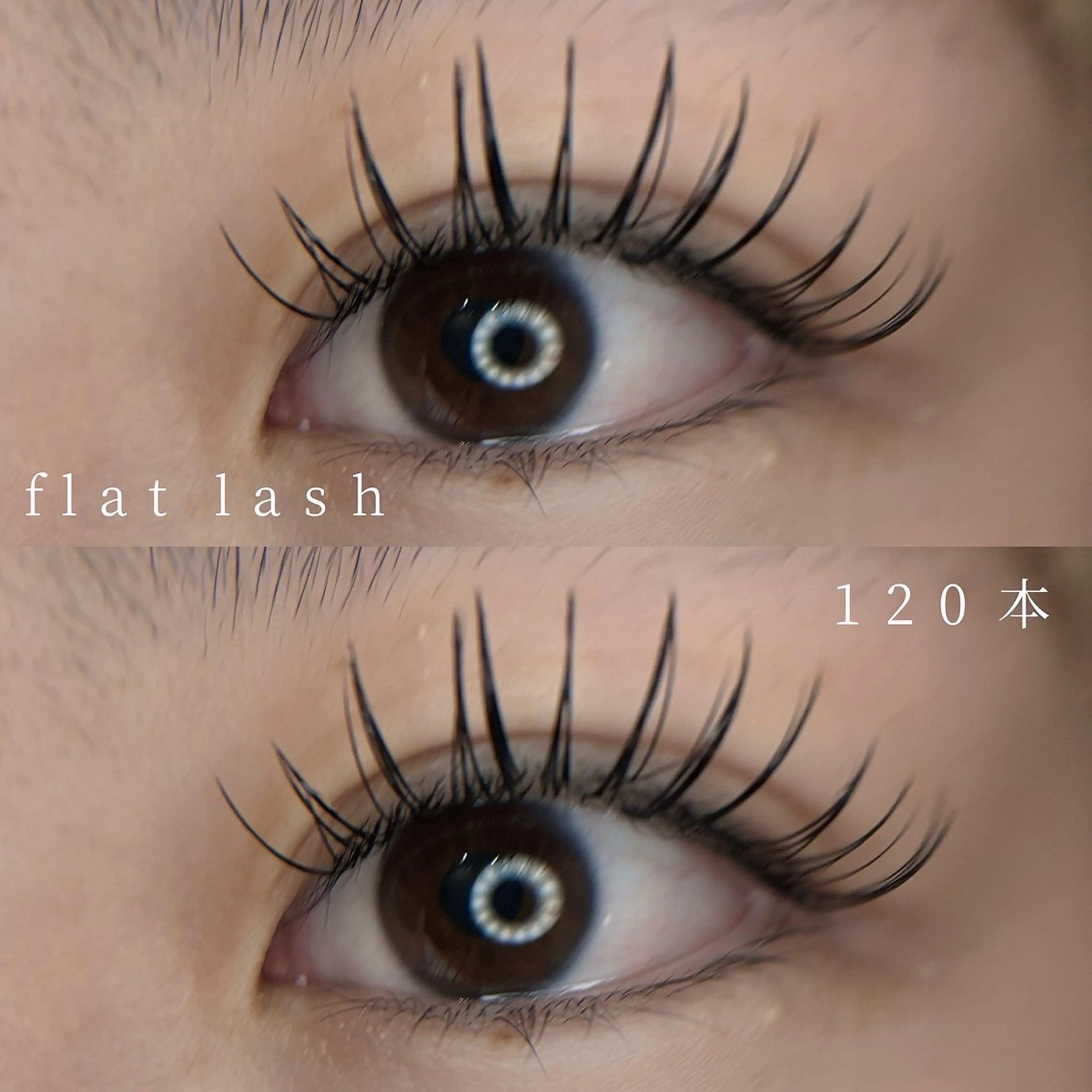 【マツエク】フラットラッシュ130本/カラー変更無料の写真