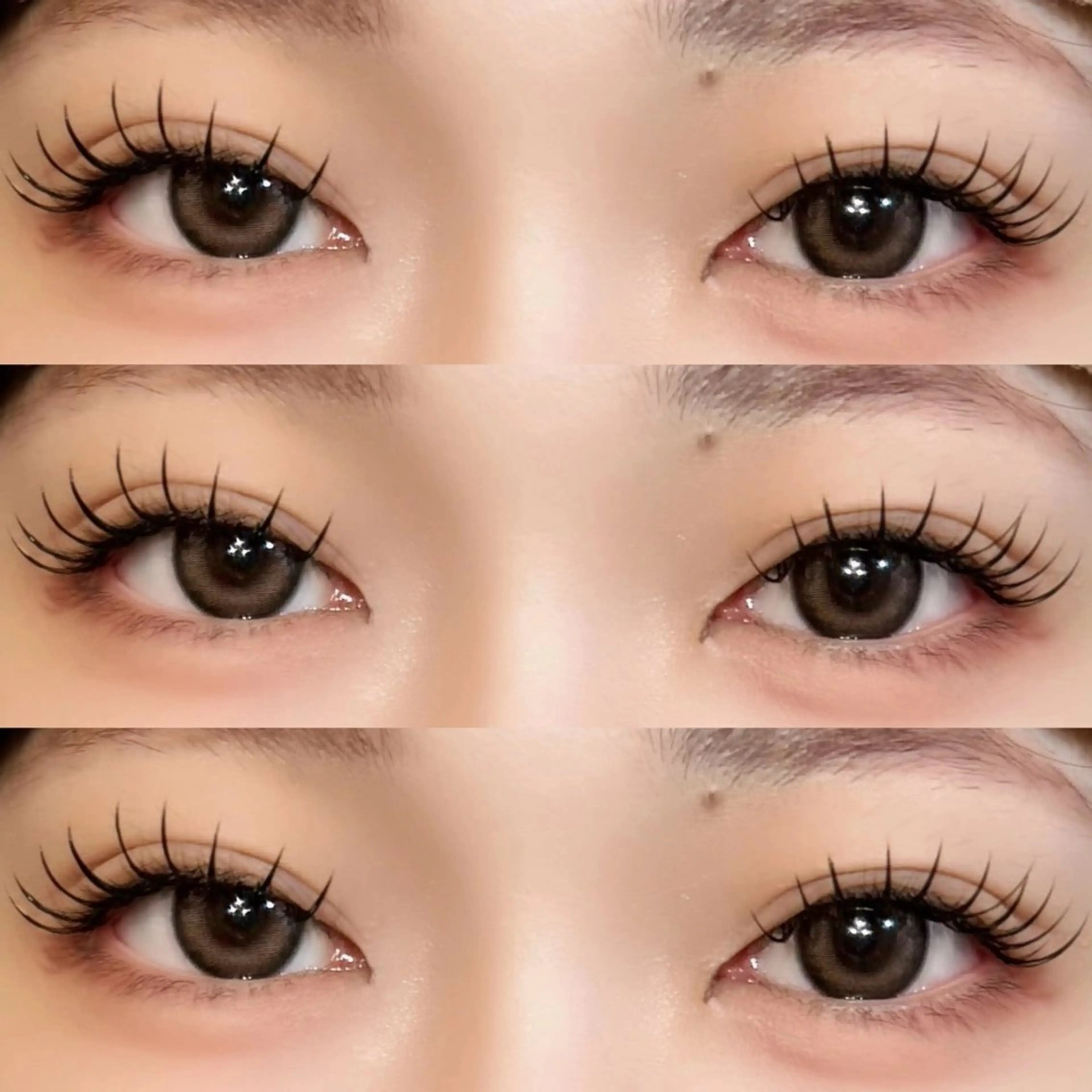 バインドロックorダブルフラットラッシュ100束 【¥6500】の写真