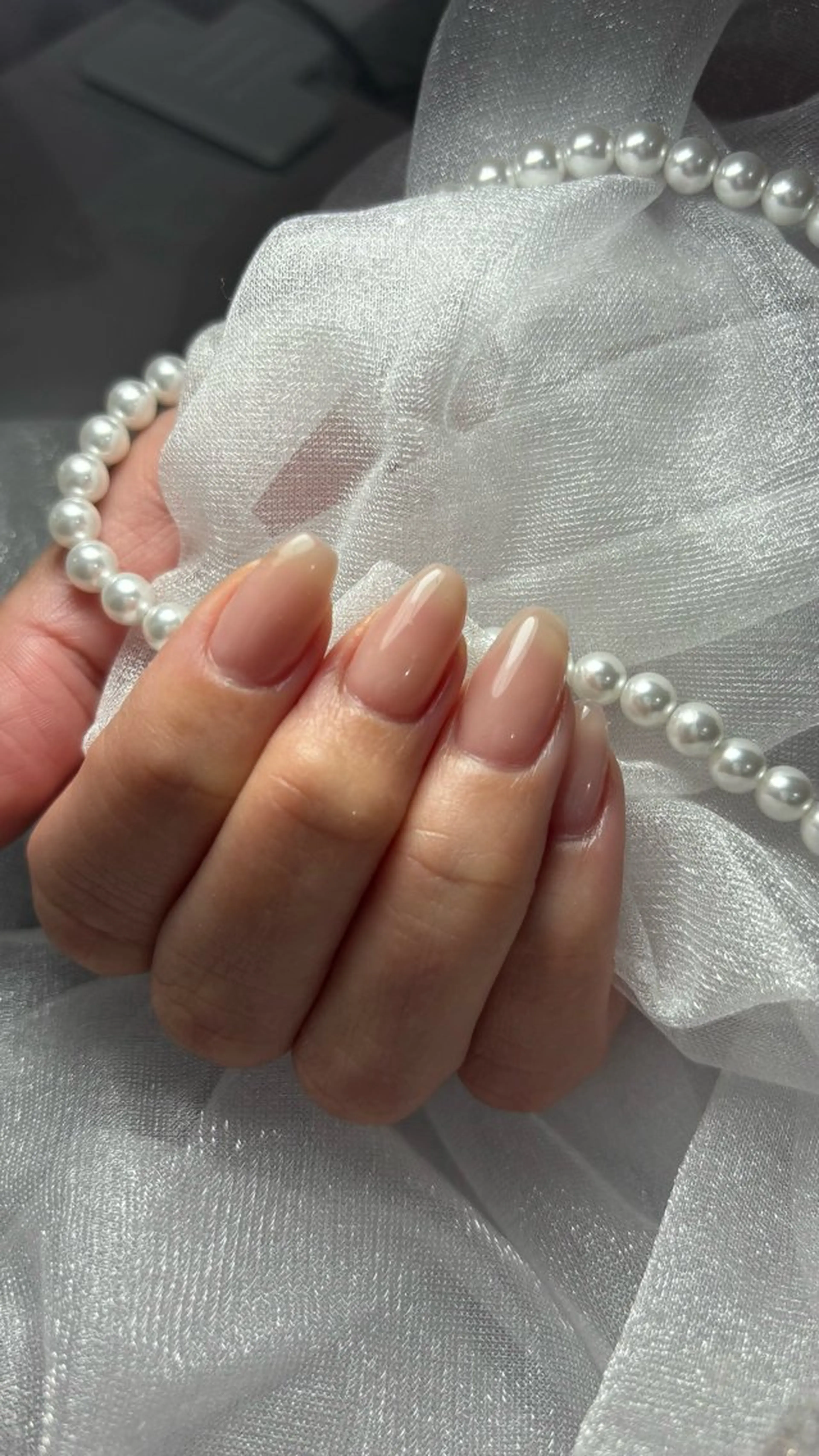 オフなし ワンカラーの写真