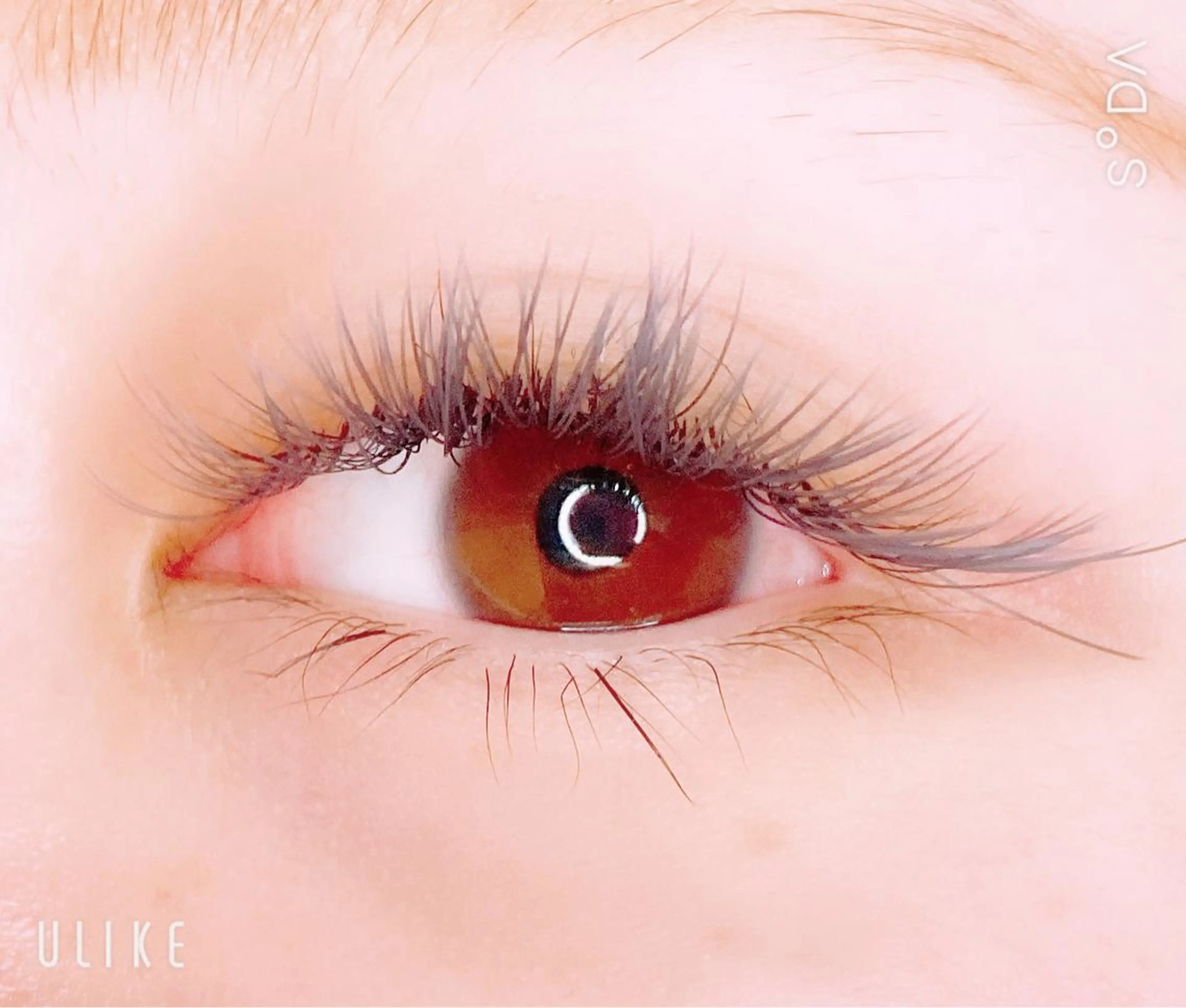 マツエク・マツパ 付け放題 フラットラッシュ マツエク JurerEye☆ sakiのマツエク・マツパデザイン