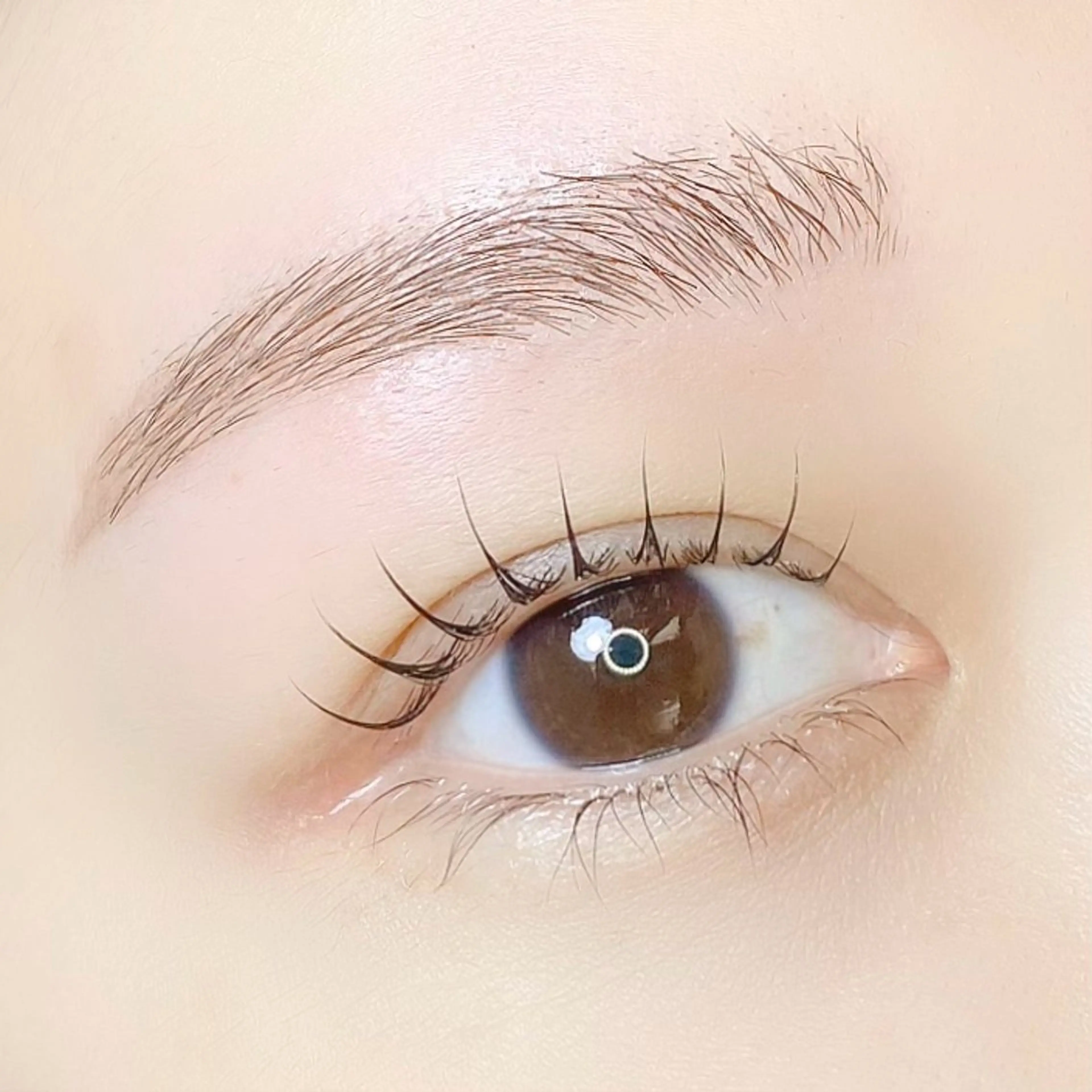 🩷垢抜け確定set🩷アイブロウカラー×似合わせアイブロウスタイリング｜間引きカット○の写真