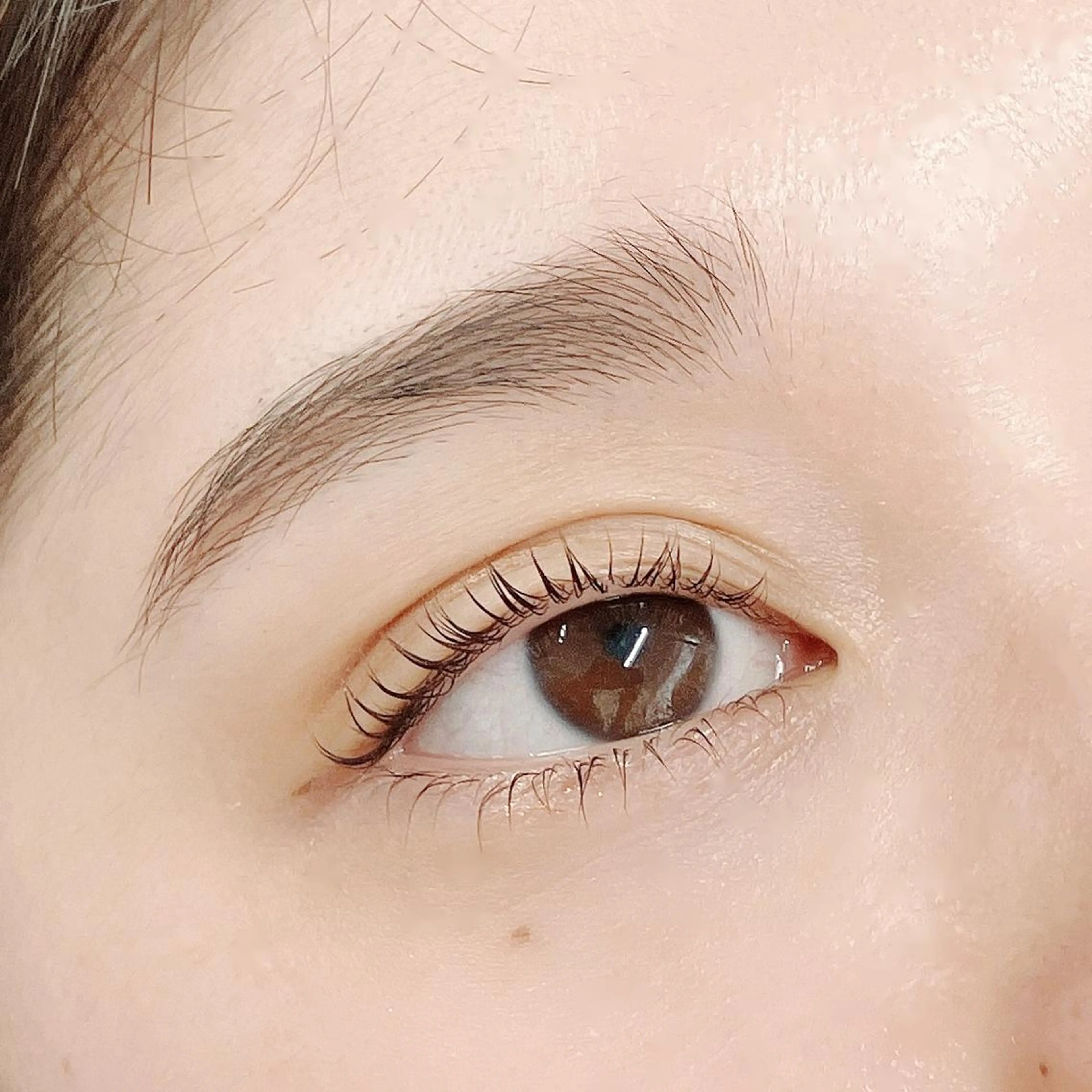 【お得な期間限定料金✨】上下パリジェンヌラッシュリフト＋ハリウッドブロウリフトの写真