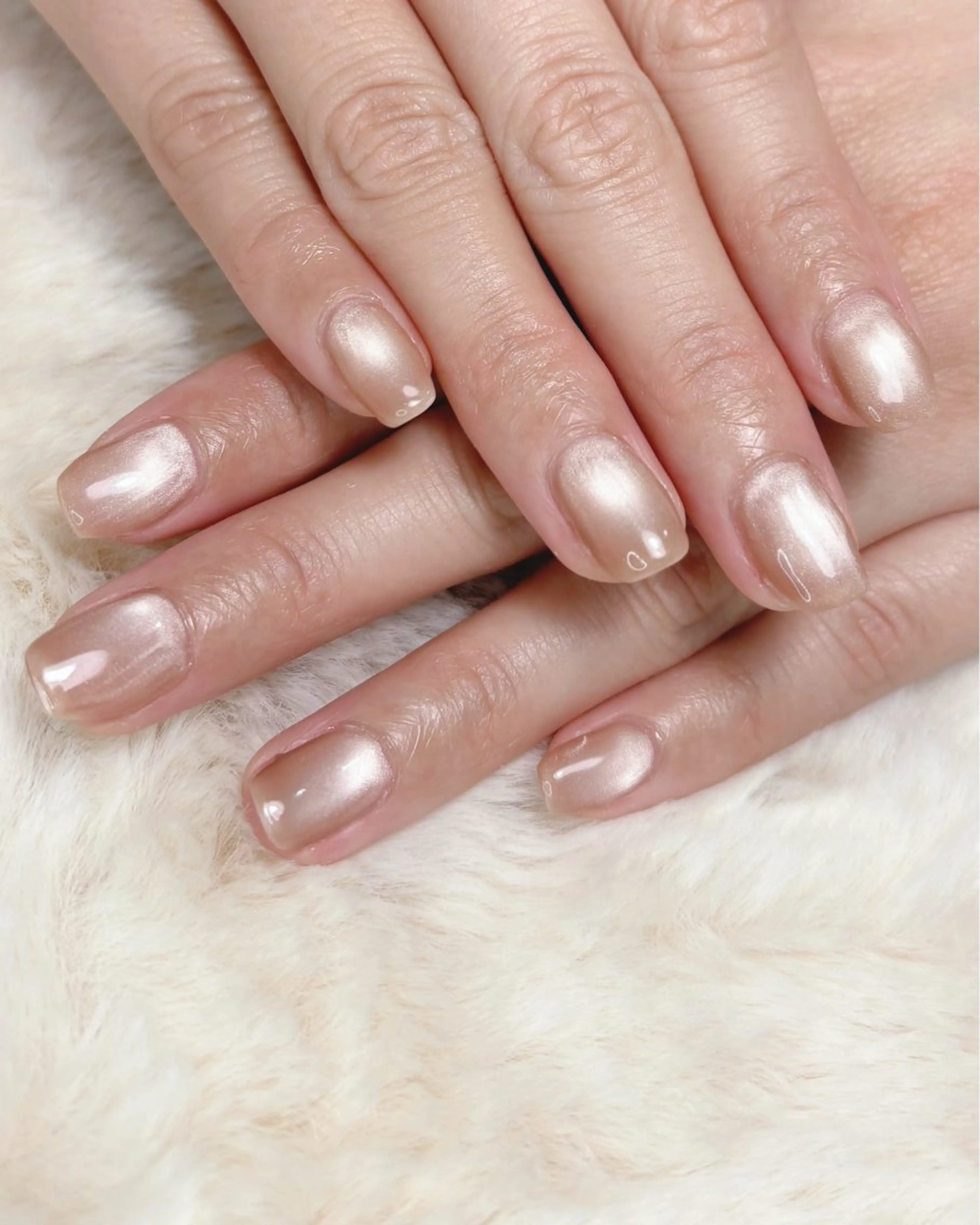 マグネット / フラッシュの写真